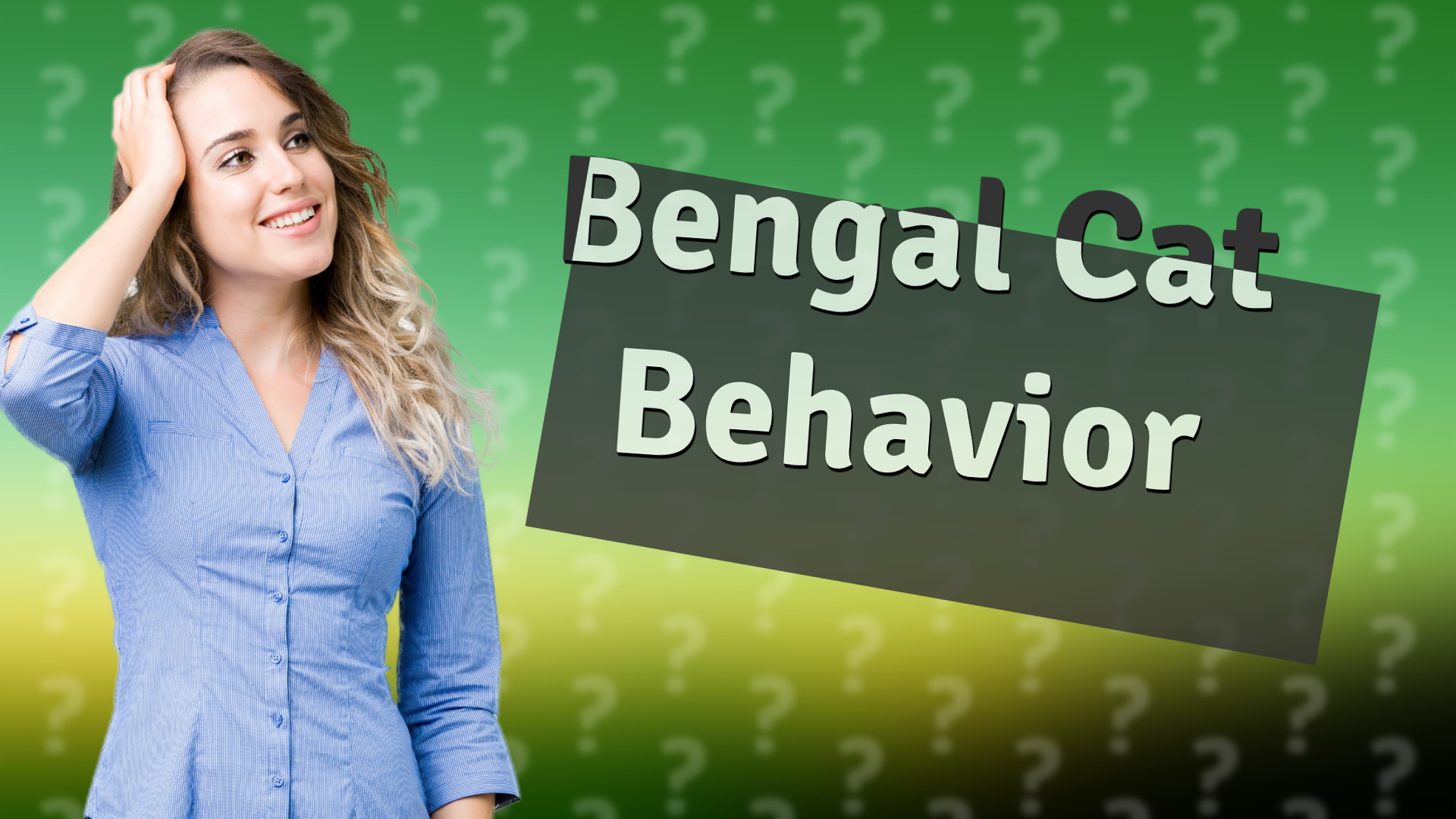 Bengal Cat Behavior