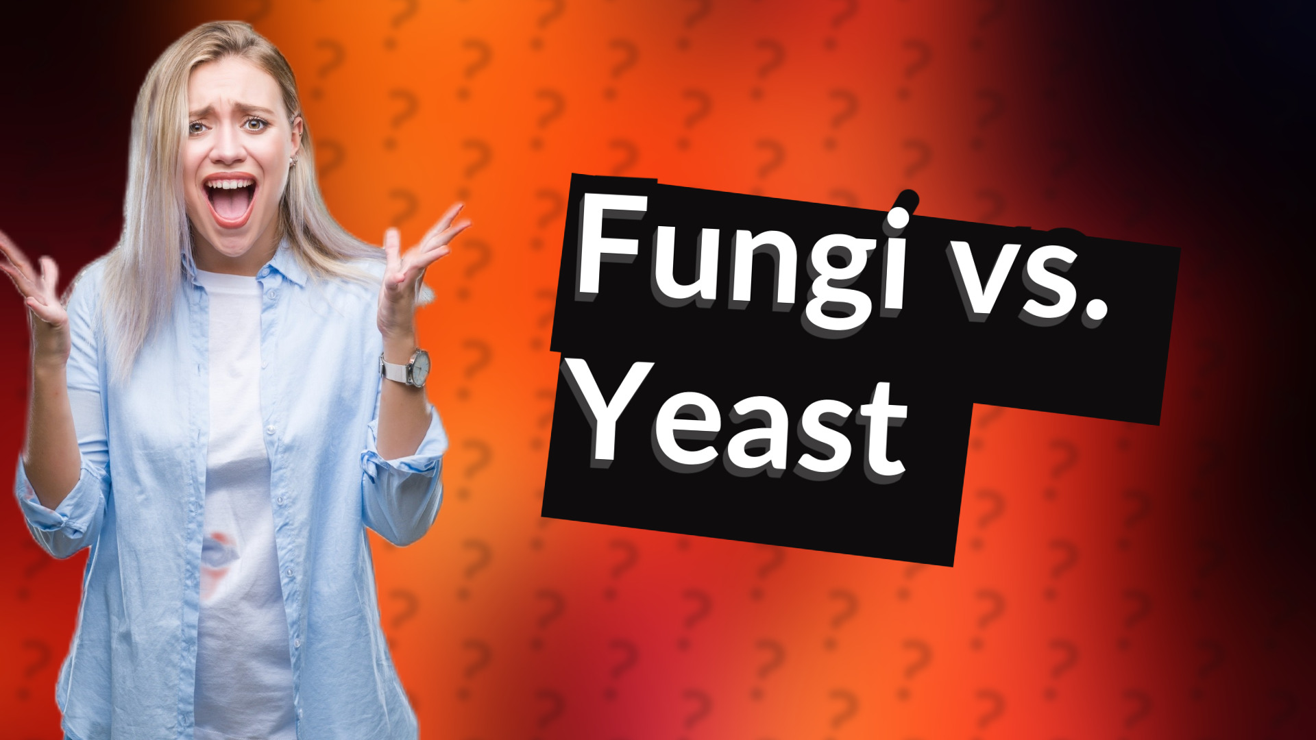 Fungi vs. Yeast