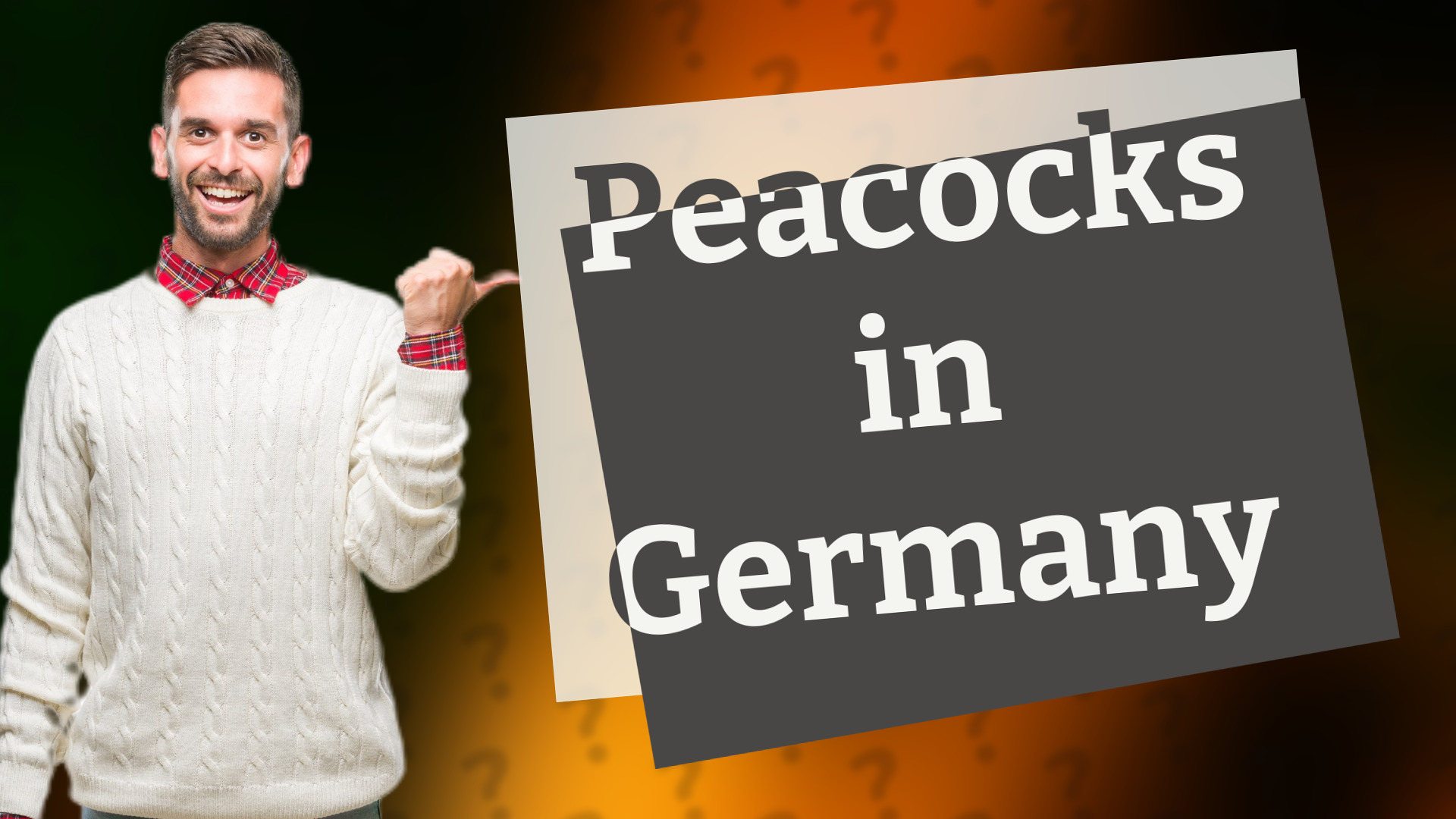 Peacocks in Germany