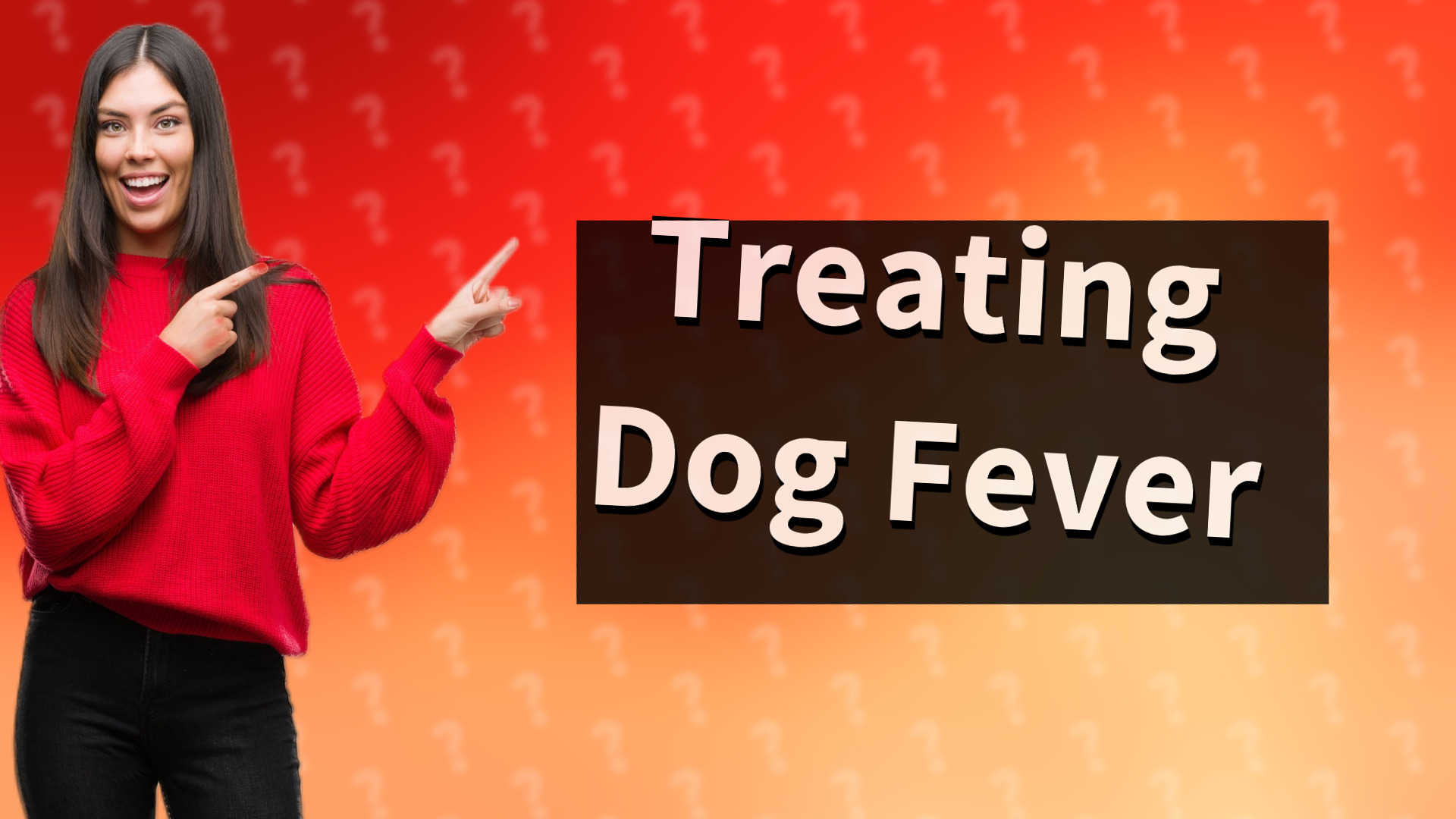 Treating Dog Fever