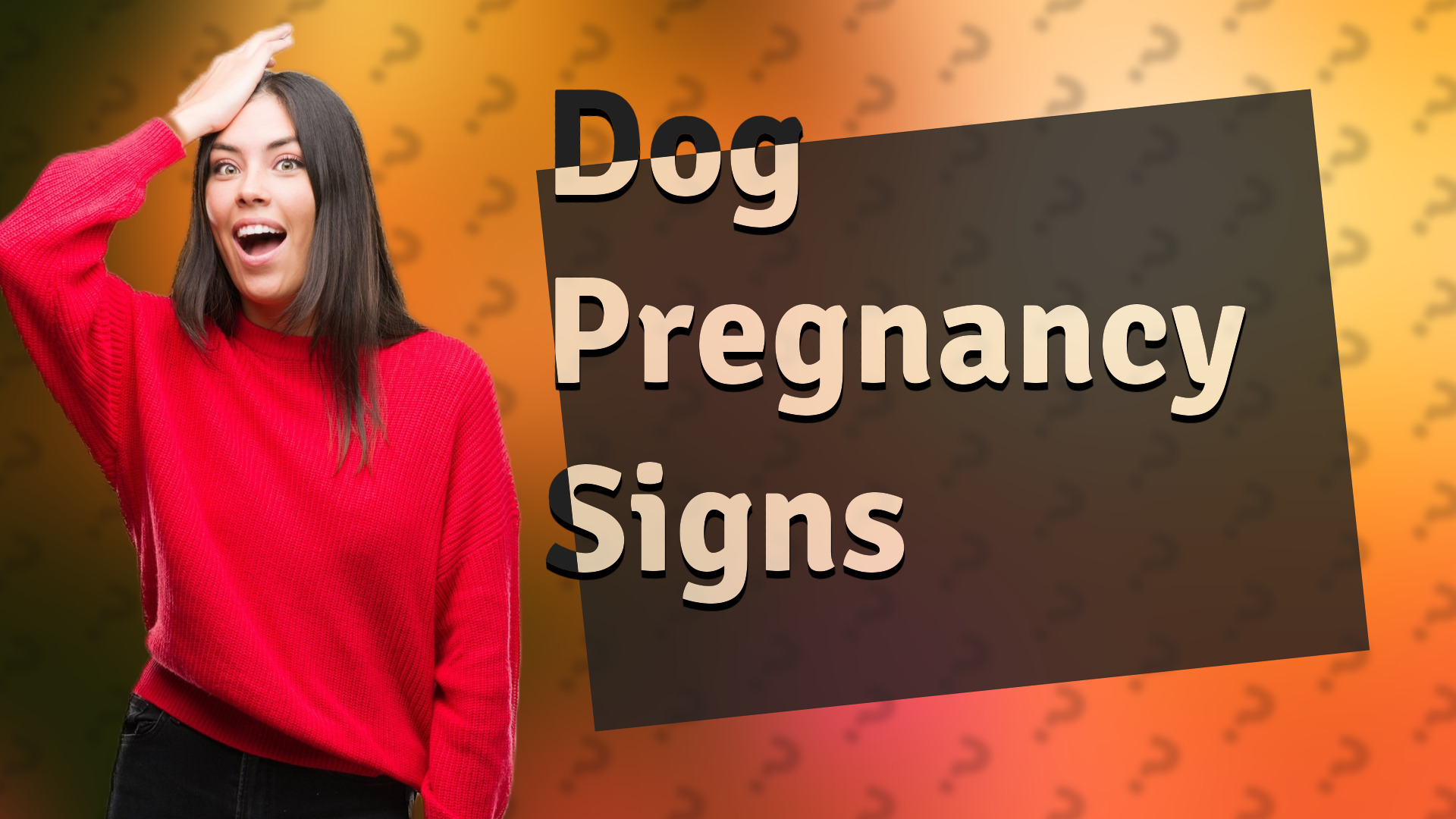 Dog Pregnancy Signs