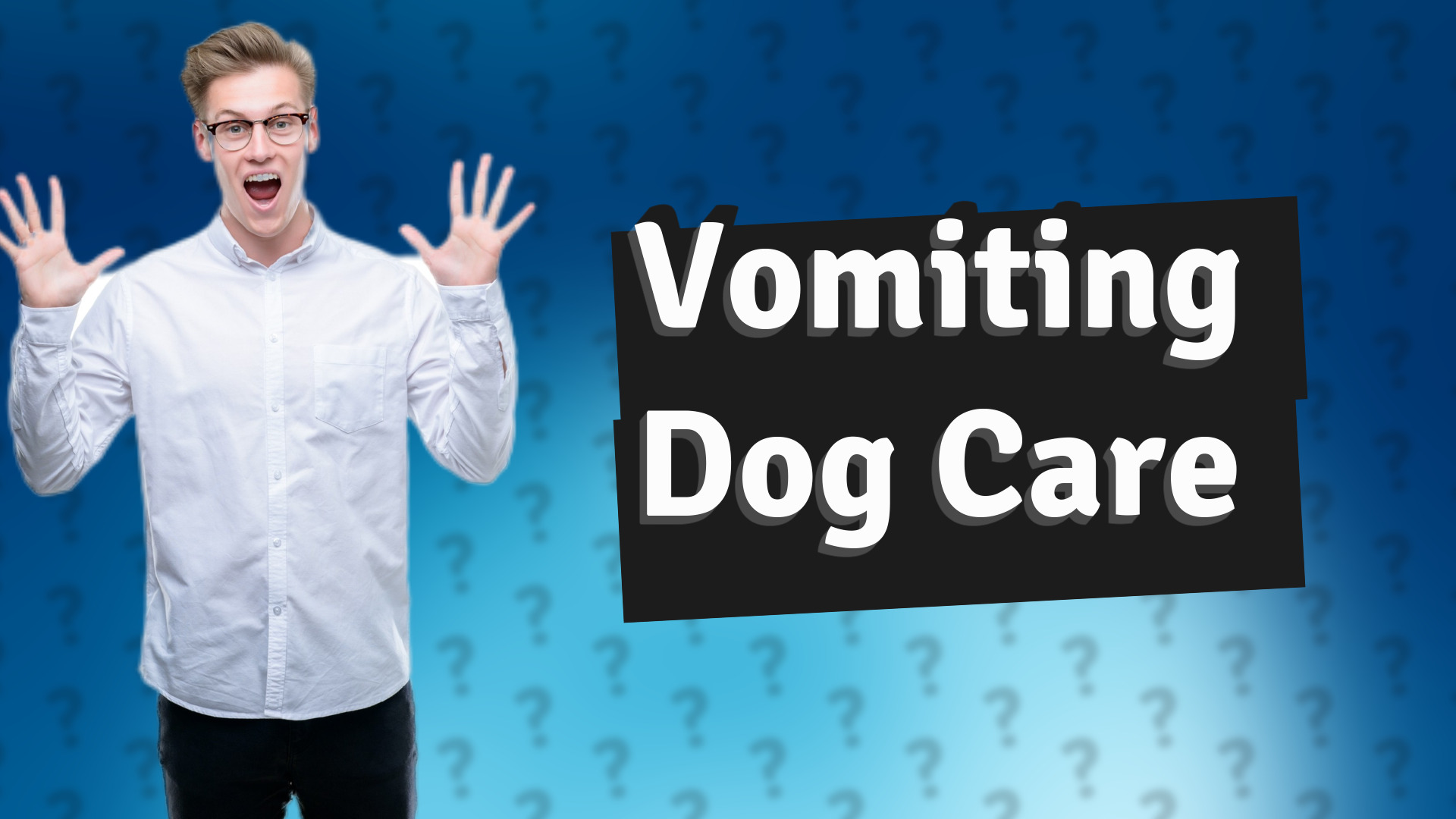 Vomiting Dog Care