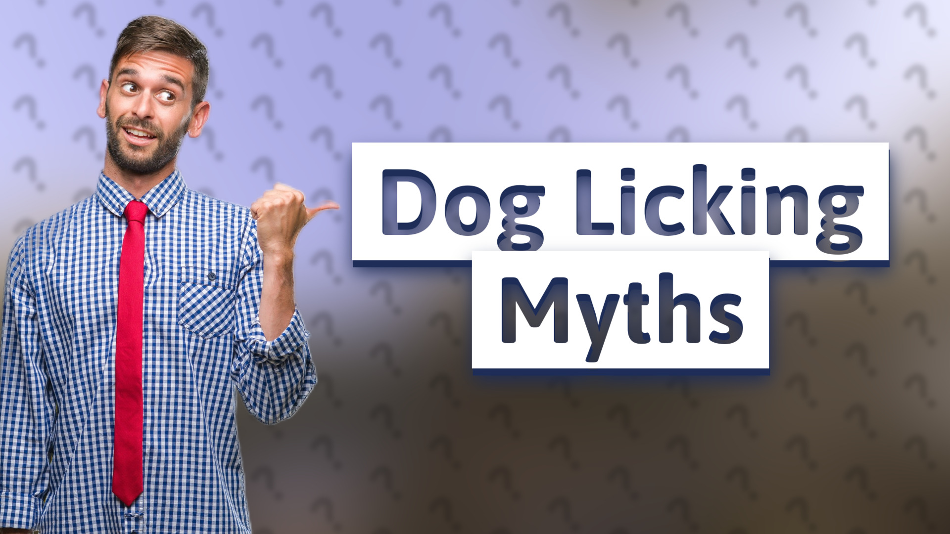 Dog Licking Myths