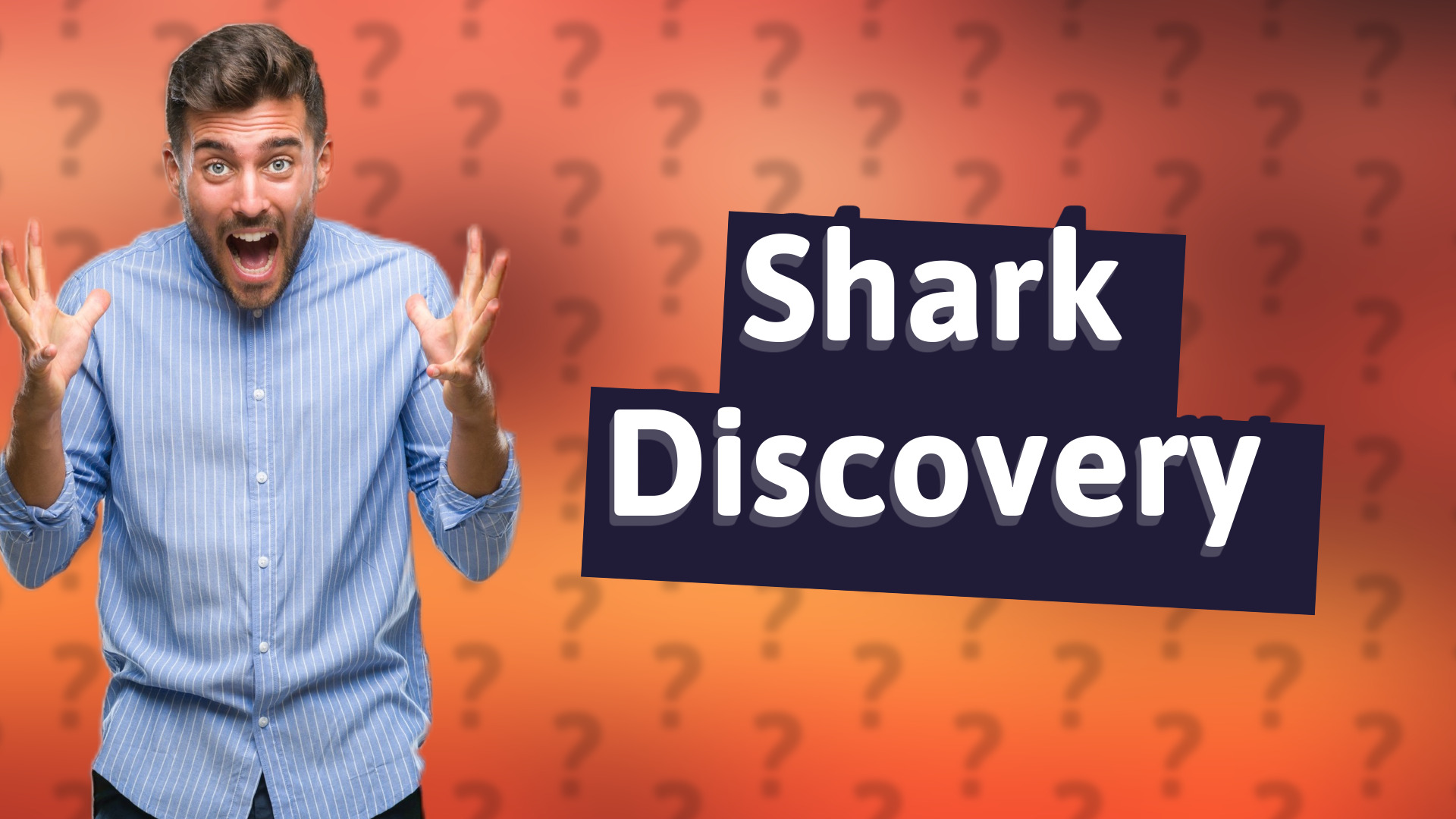 Shark Discovery