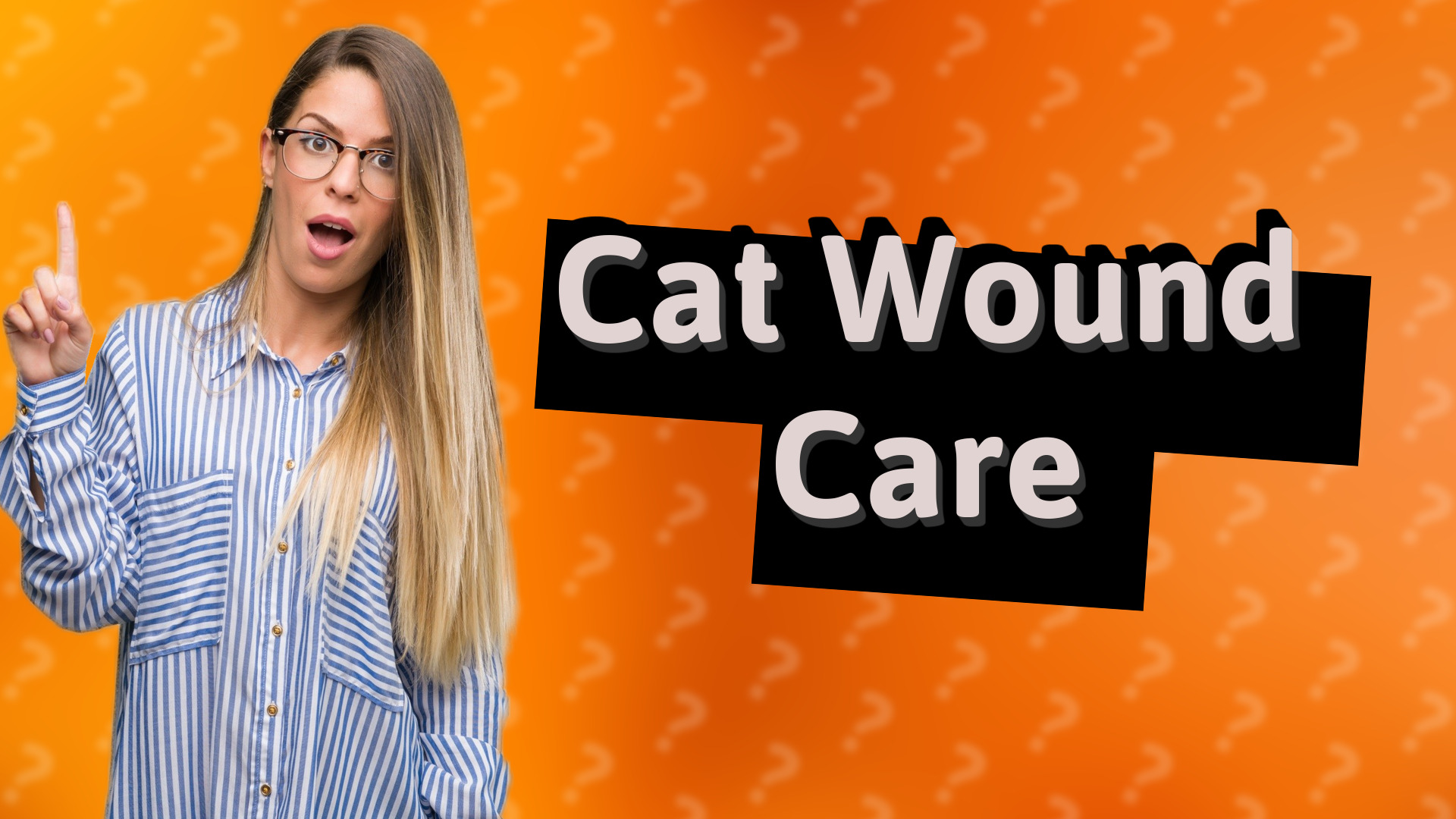 Cat Wound Care