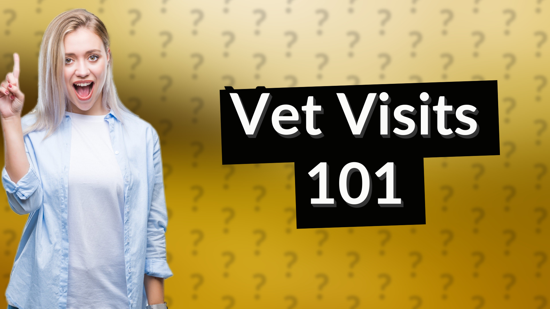 Vet Visits 101