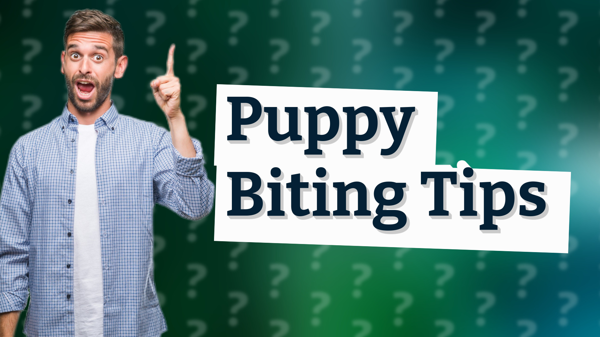 Puppy Biting Tips