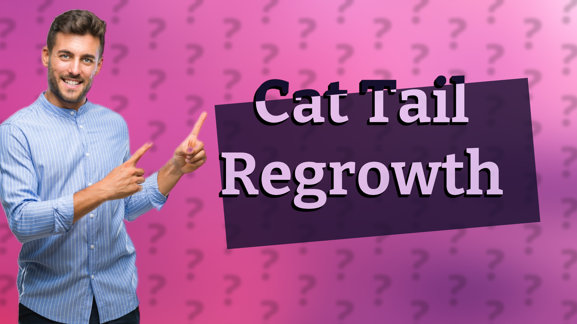 Cat Tail Regrowth