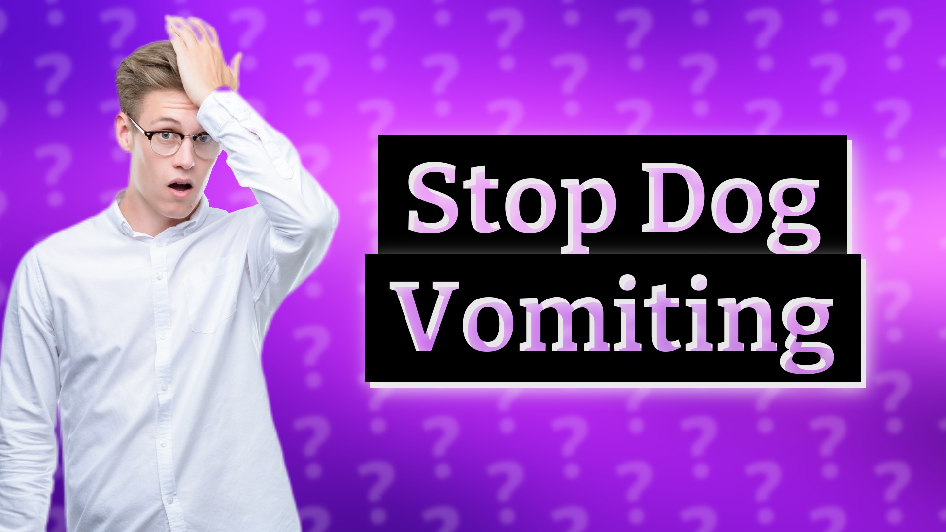 Stop Dog Vomiting