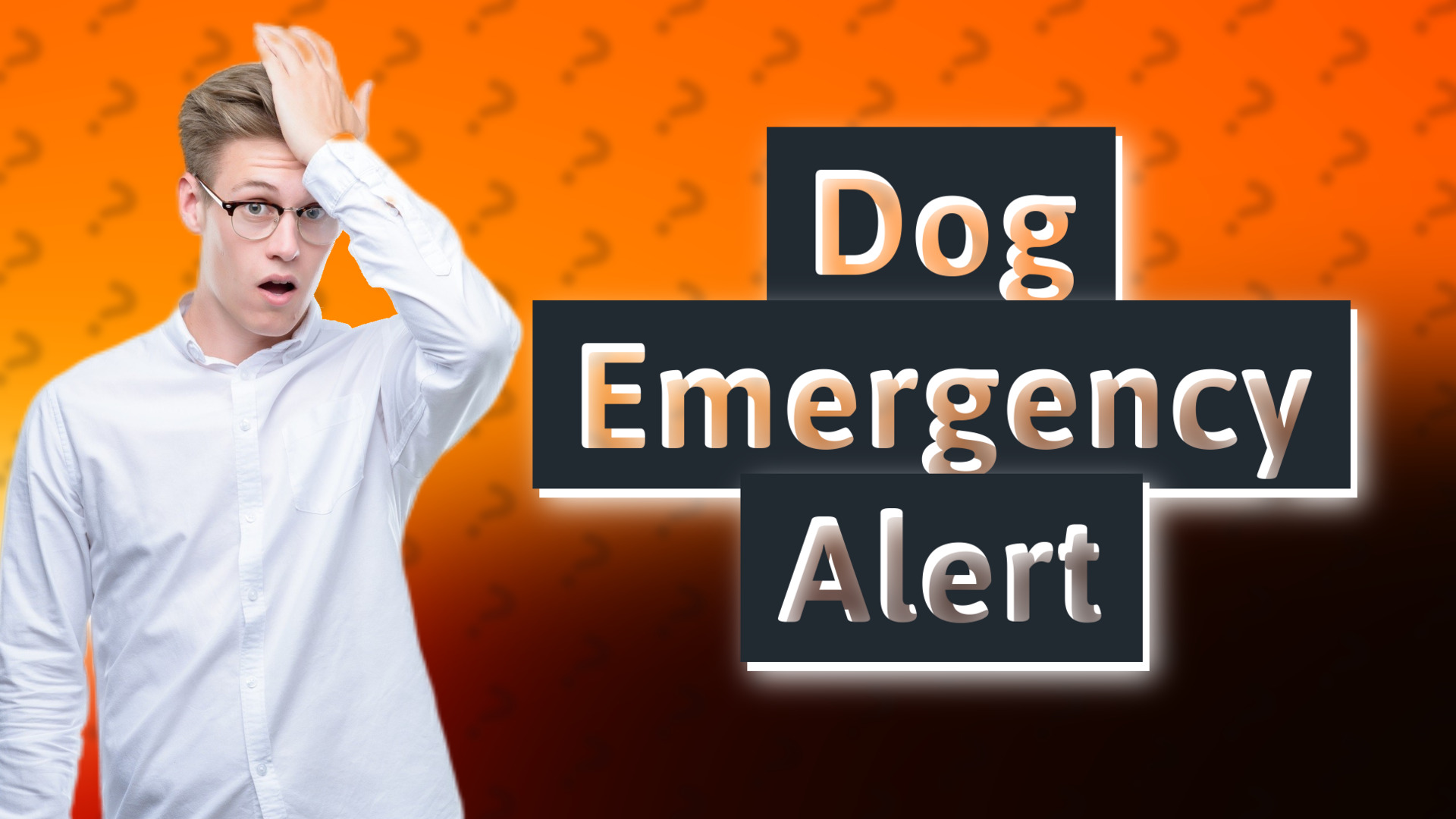 Dog Emergency Alert