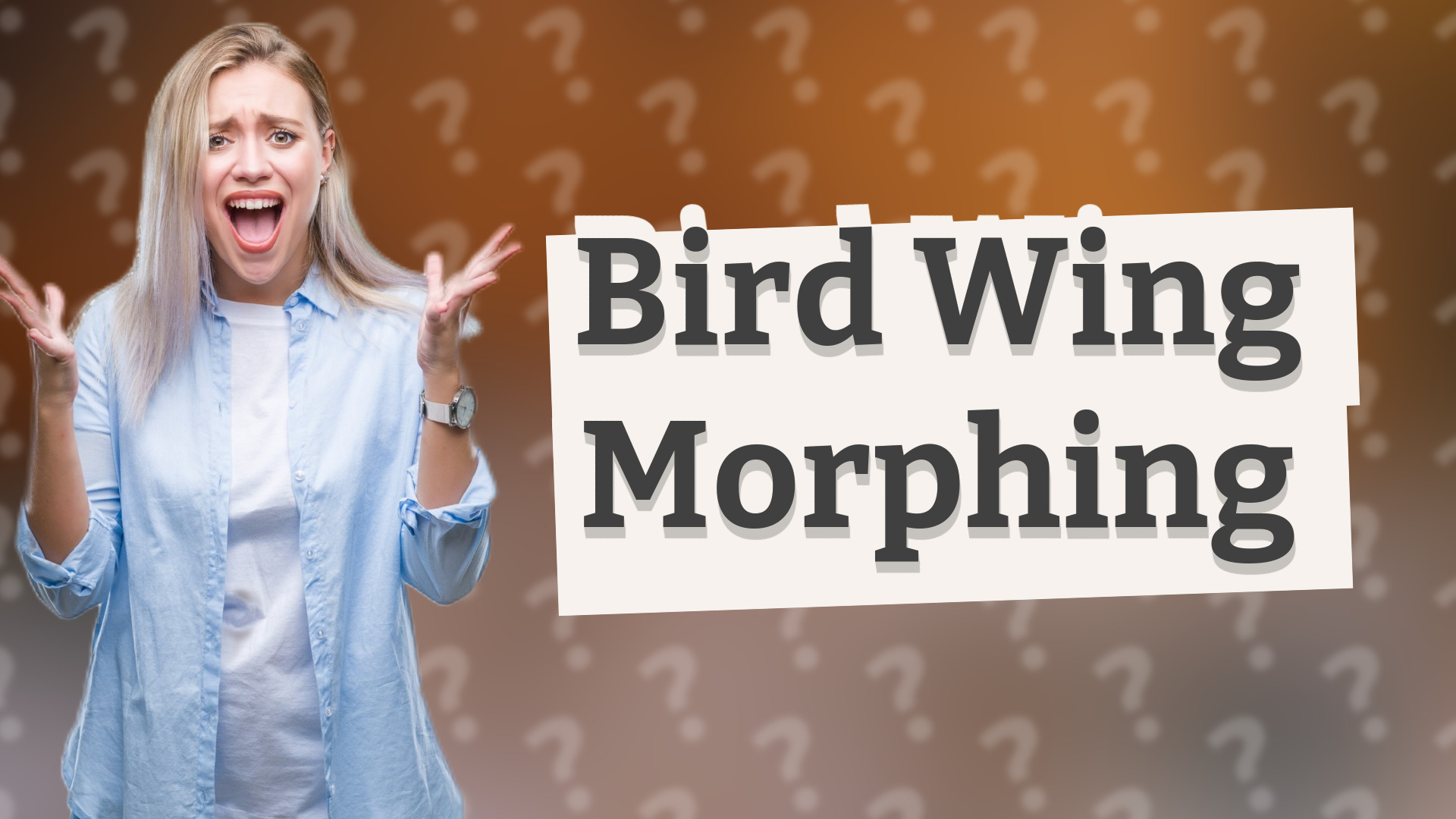 Bird Wing Morphing