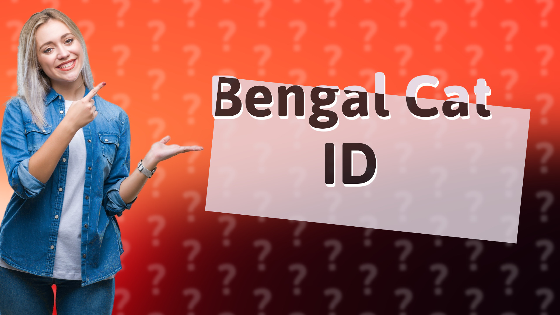 Bengal Cat ID