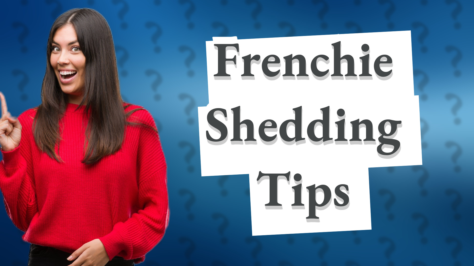 Frenchie Shedding Tips