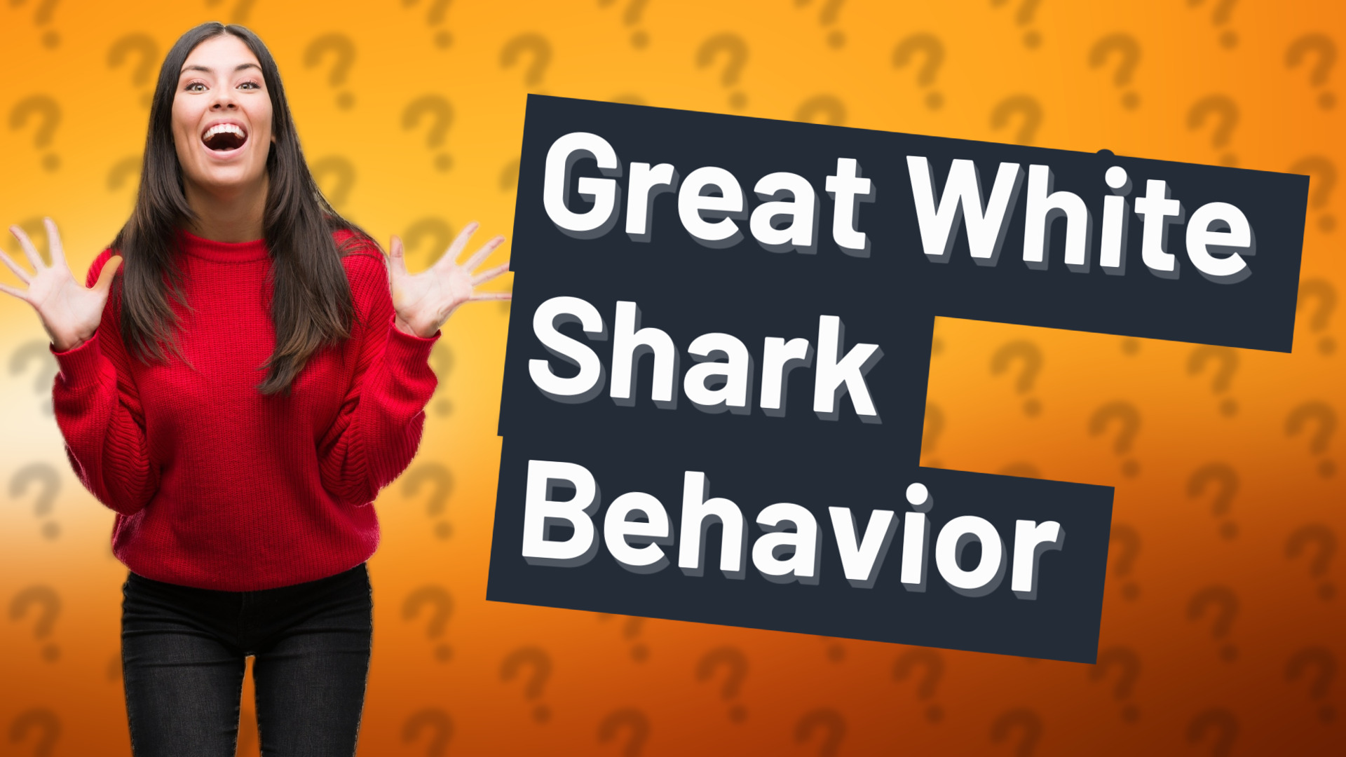 Great White Shark Behavior