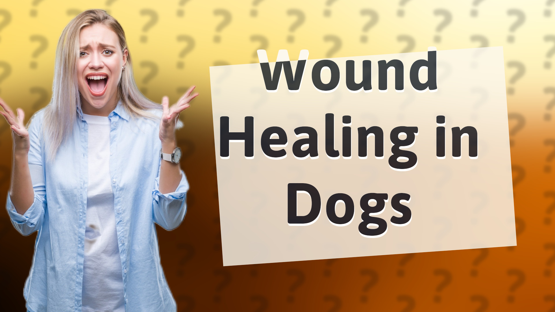Wound Healing in Dogs