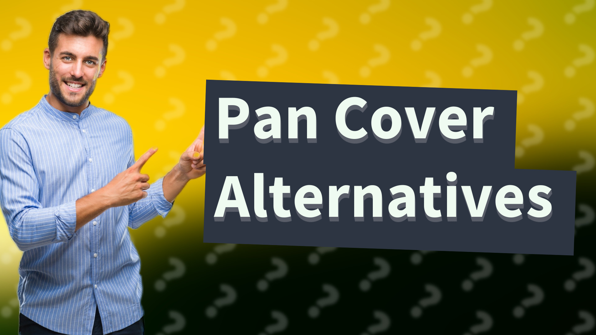 Pan Cover Alternatives