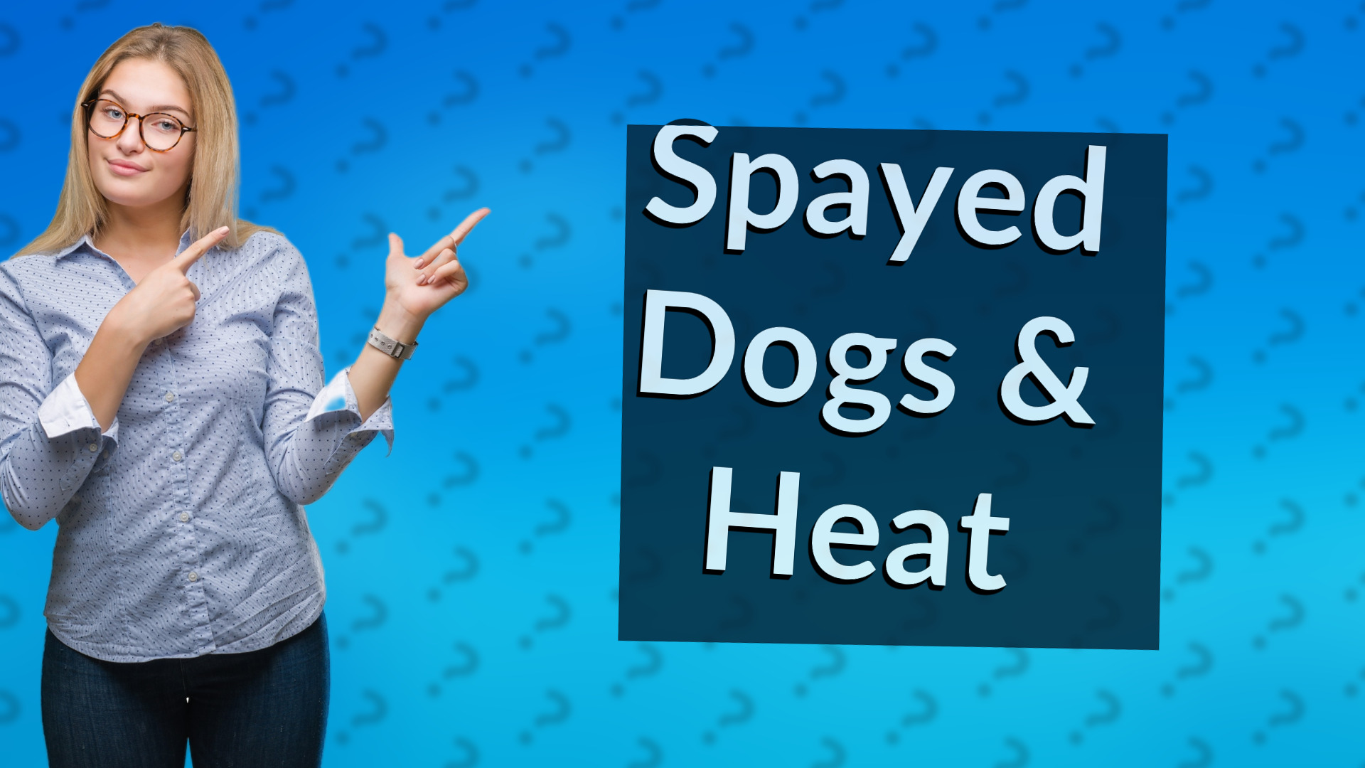 Spayed Dogs & Heat