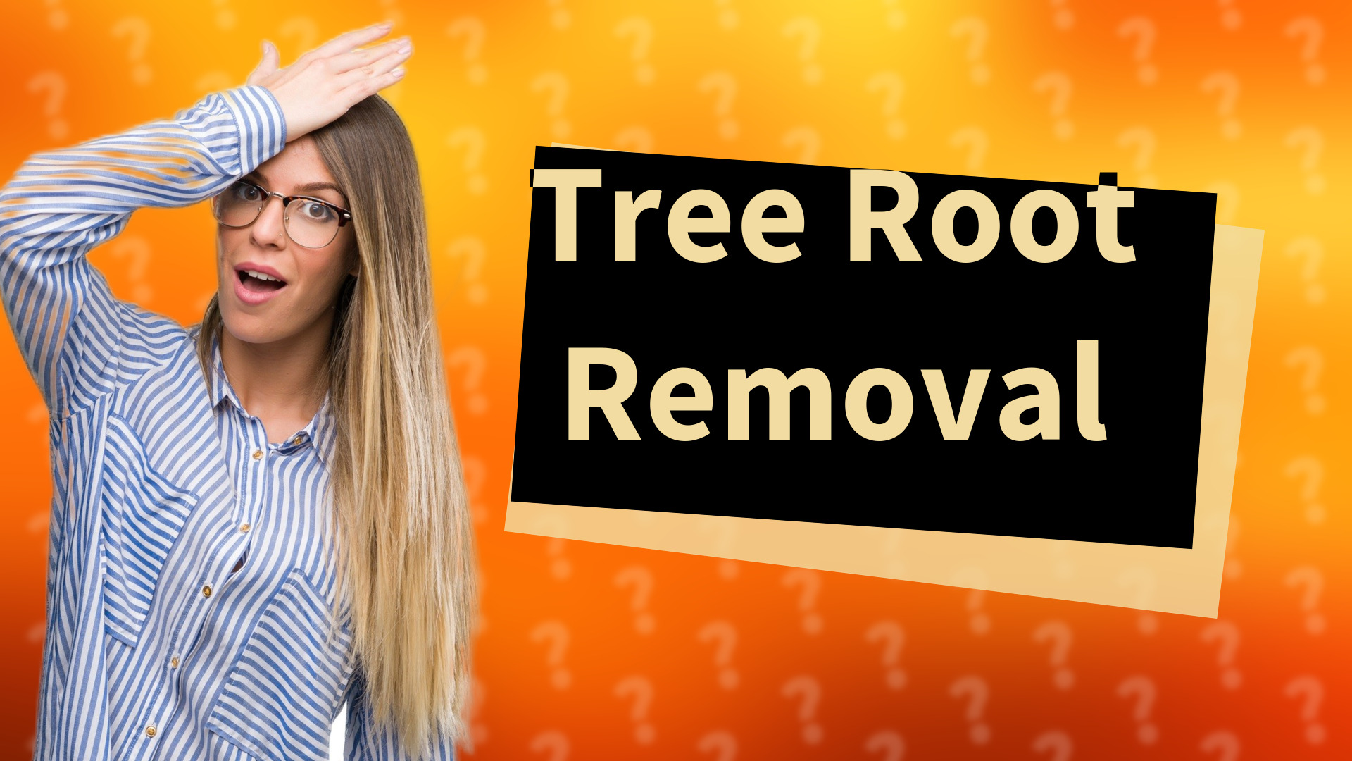 Tree Root Removal