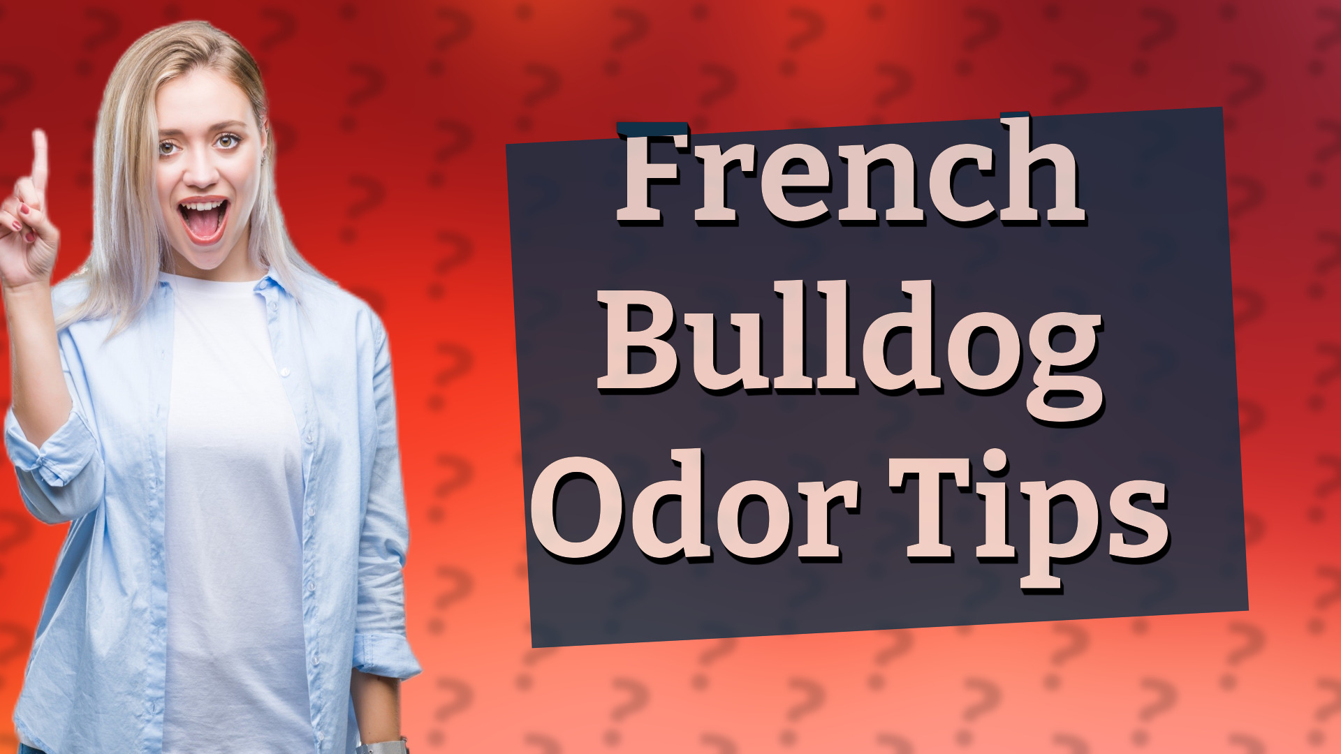 French Bulldog Odor Tips