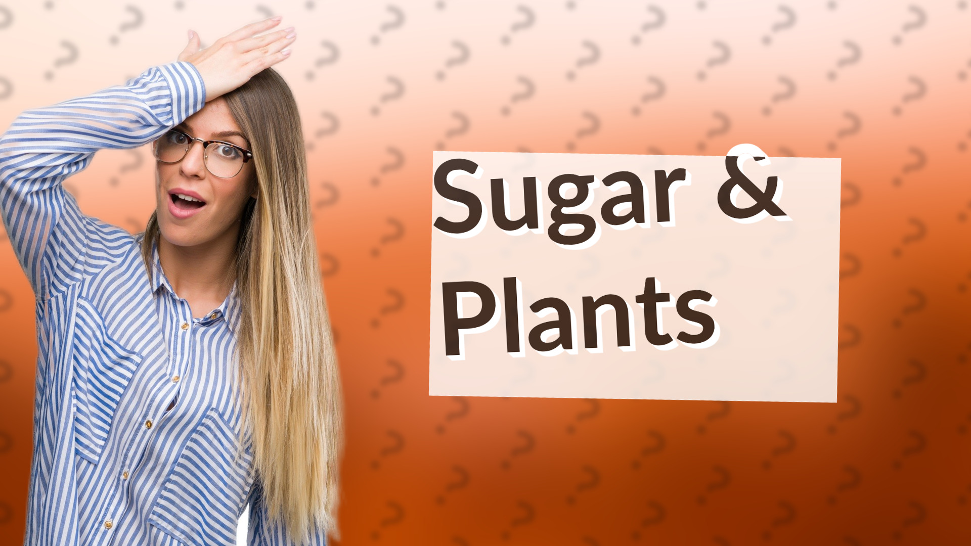 Sugar & Plants