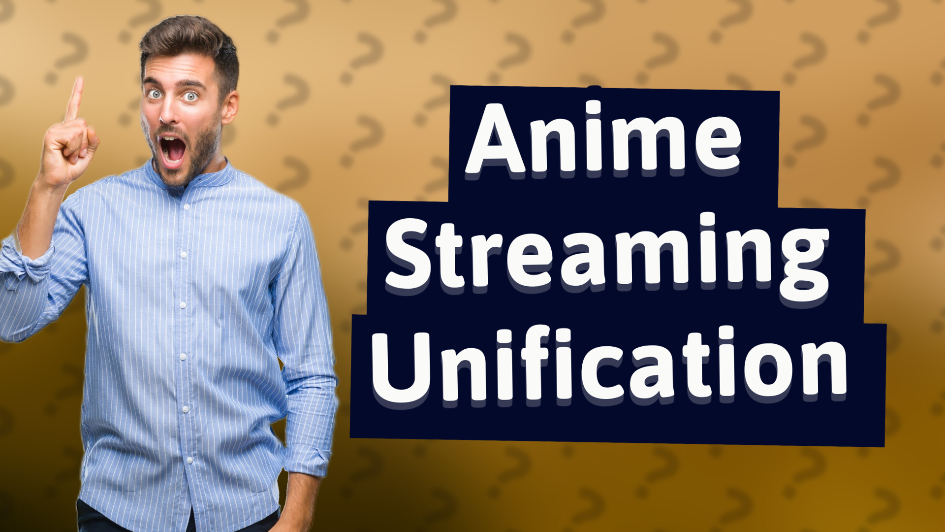 Anime Streaming Unification