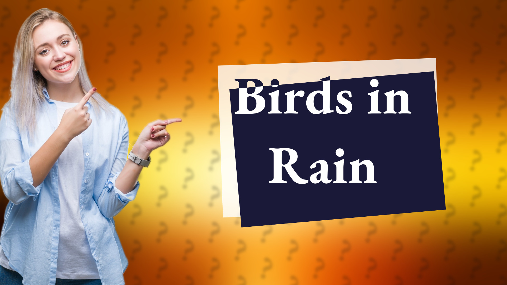 Birds in Rain