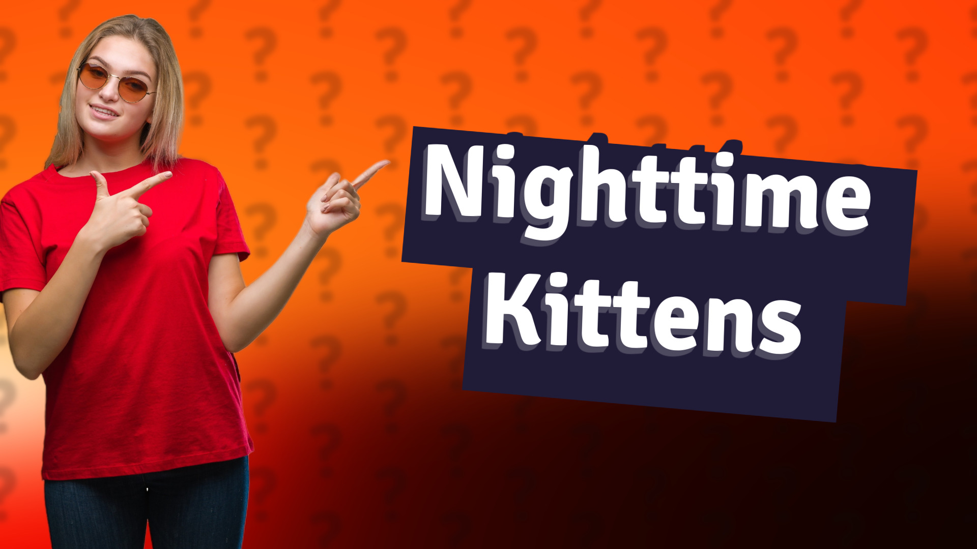 Nighttime Kittens