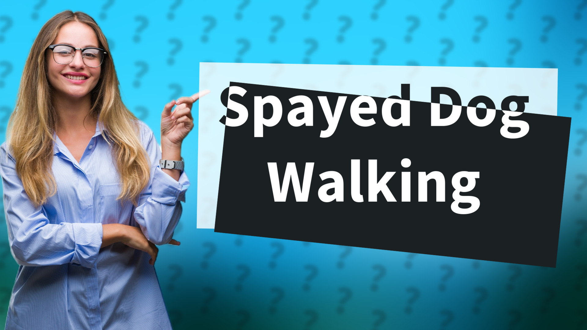 Spayed Dog Walking