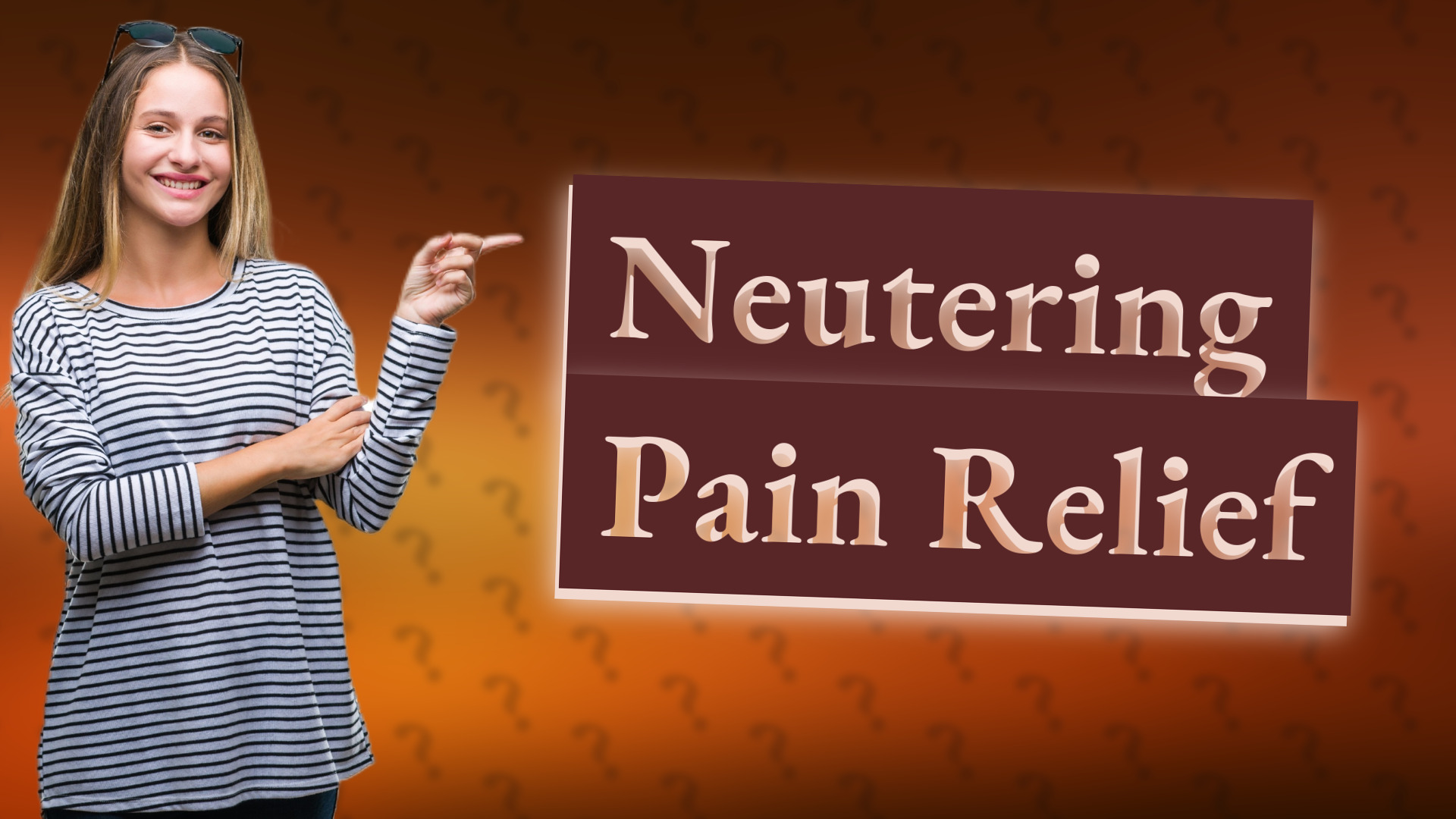 Neutering Pain Relief