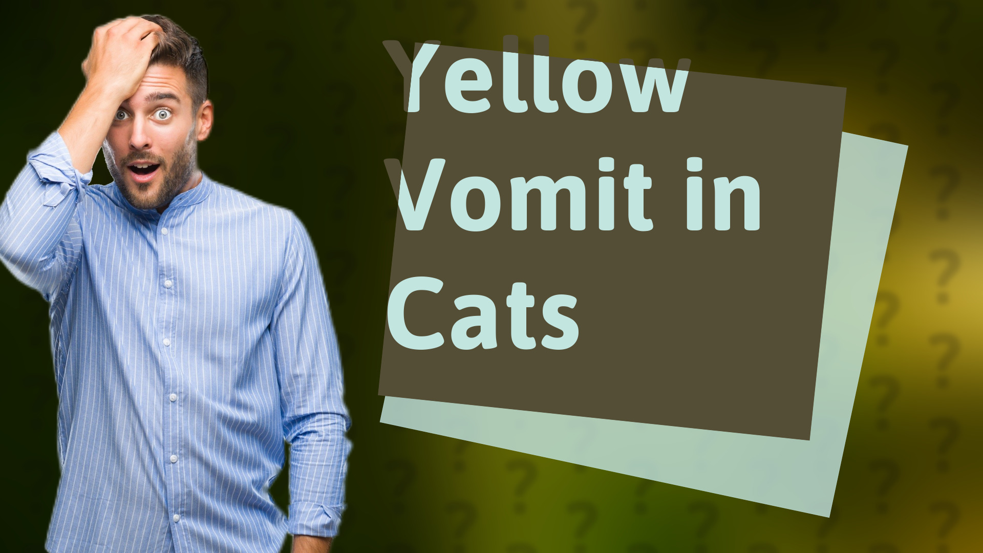 Yellow Vomit in Cats
