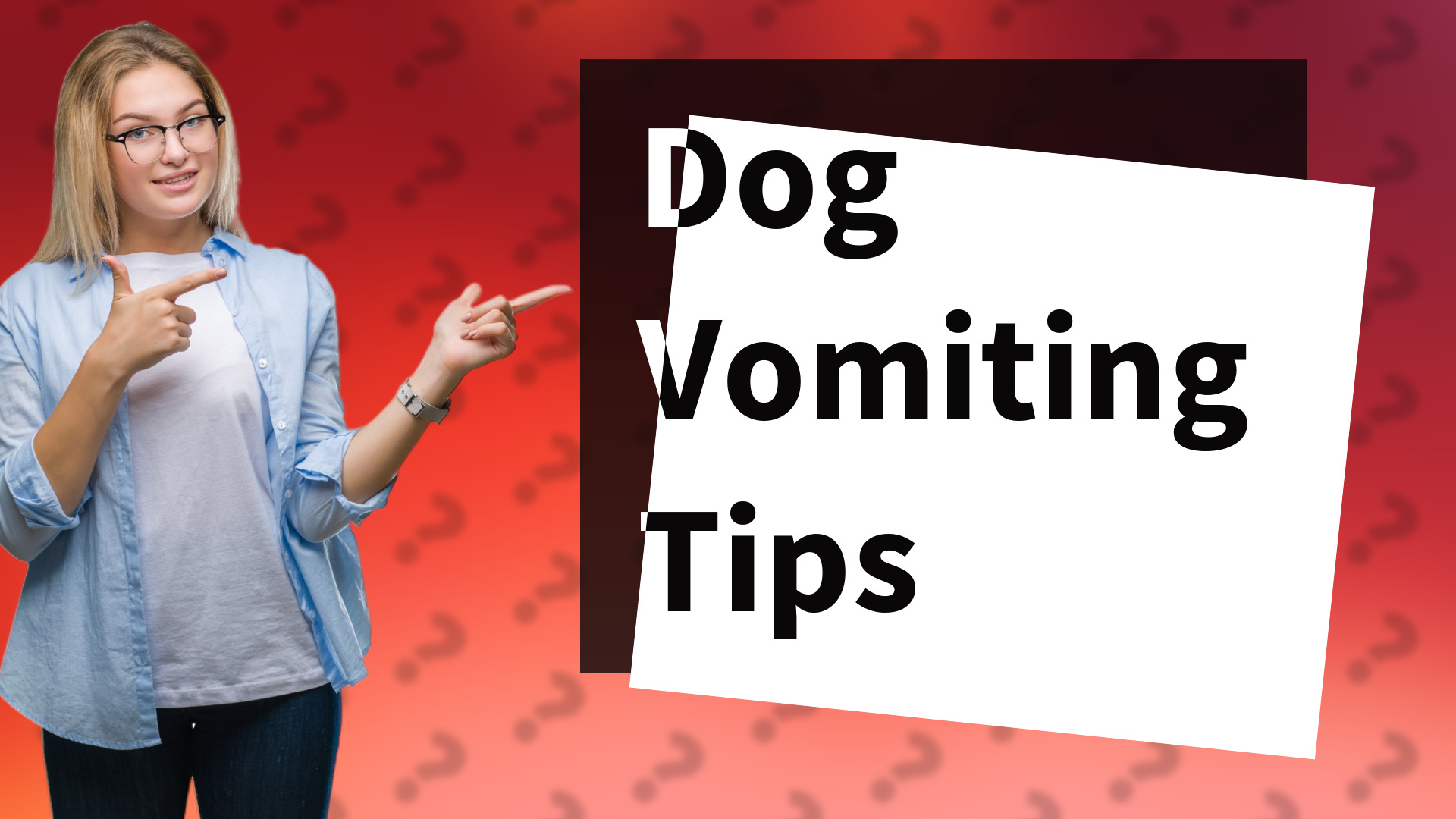 Dog Vomiting Tips