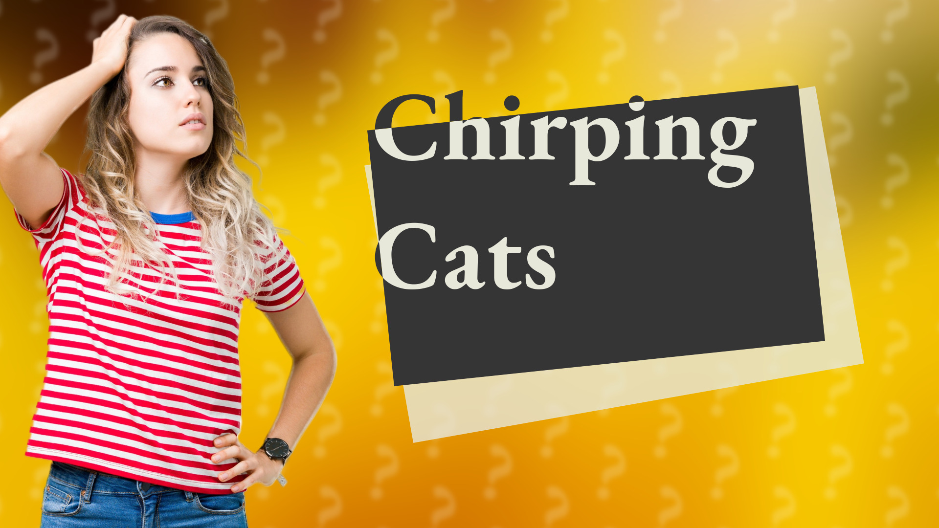 Chirping Cats