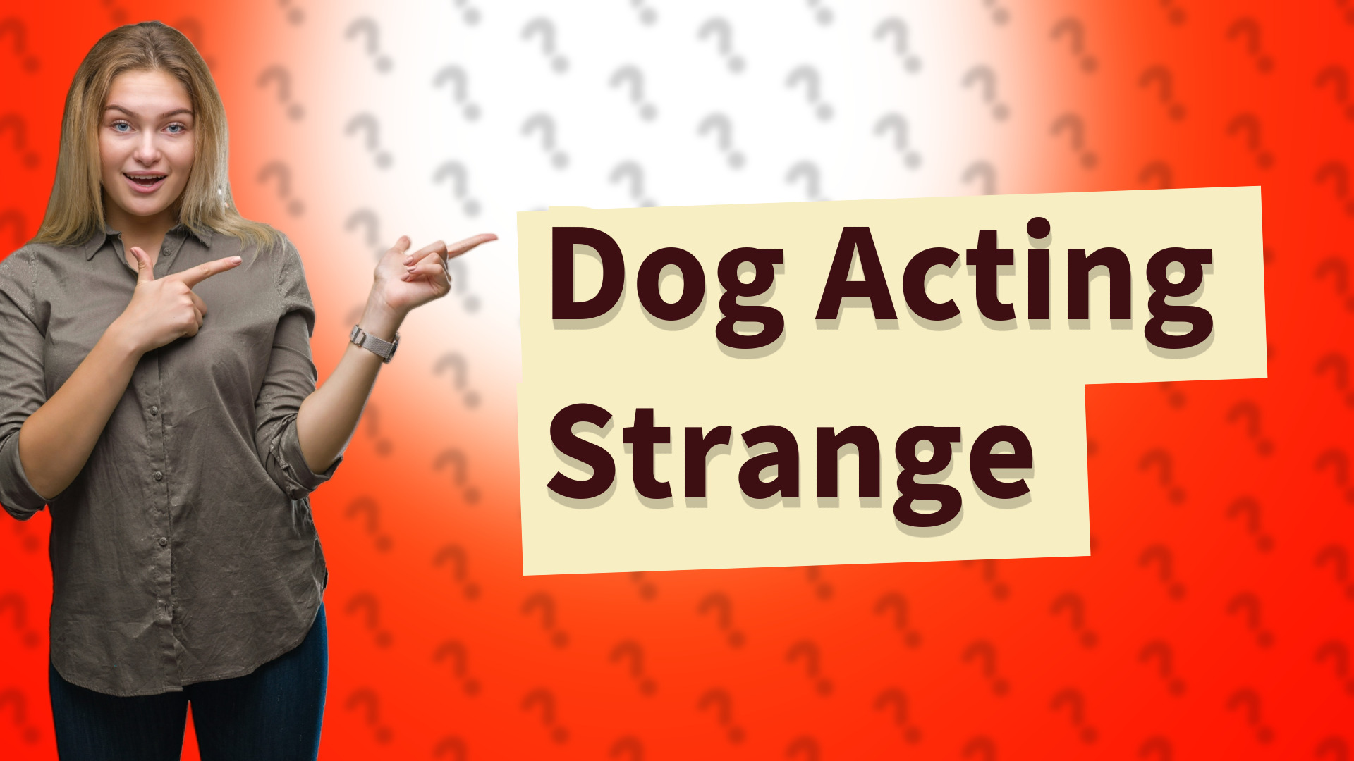 Dog Acting Strange