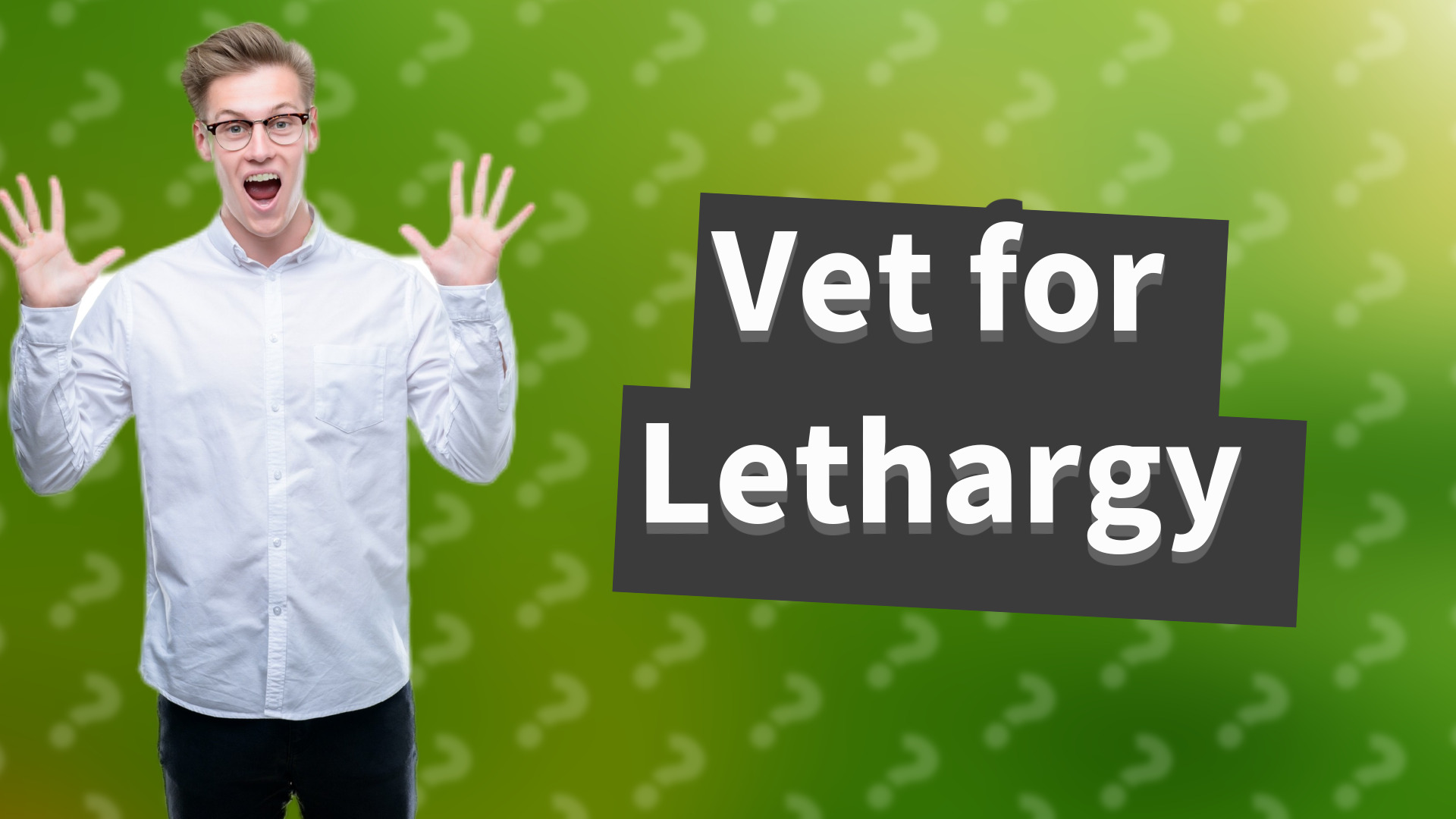 Vet for Lethargy