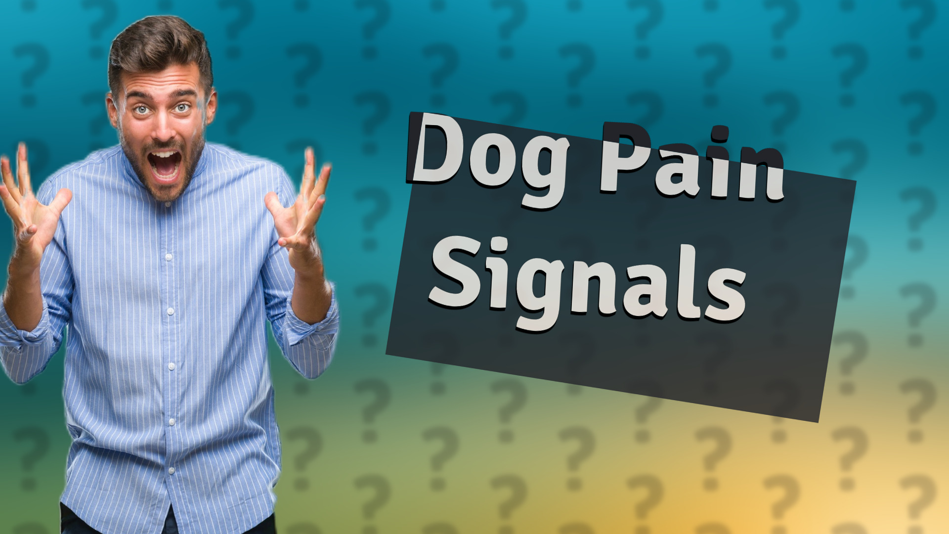 Dog Pain Signals
