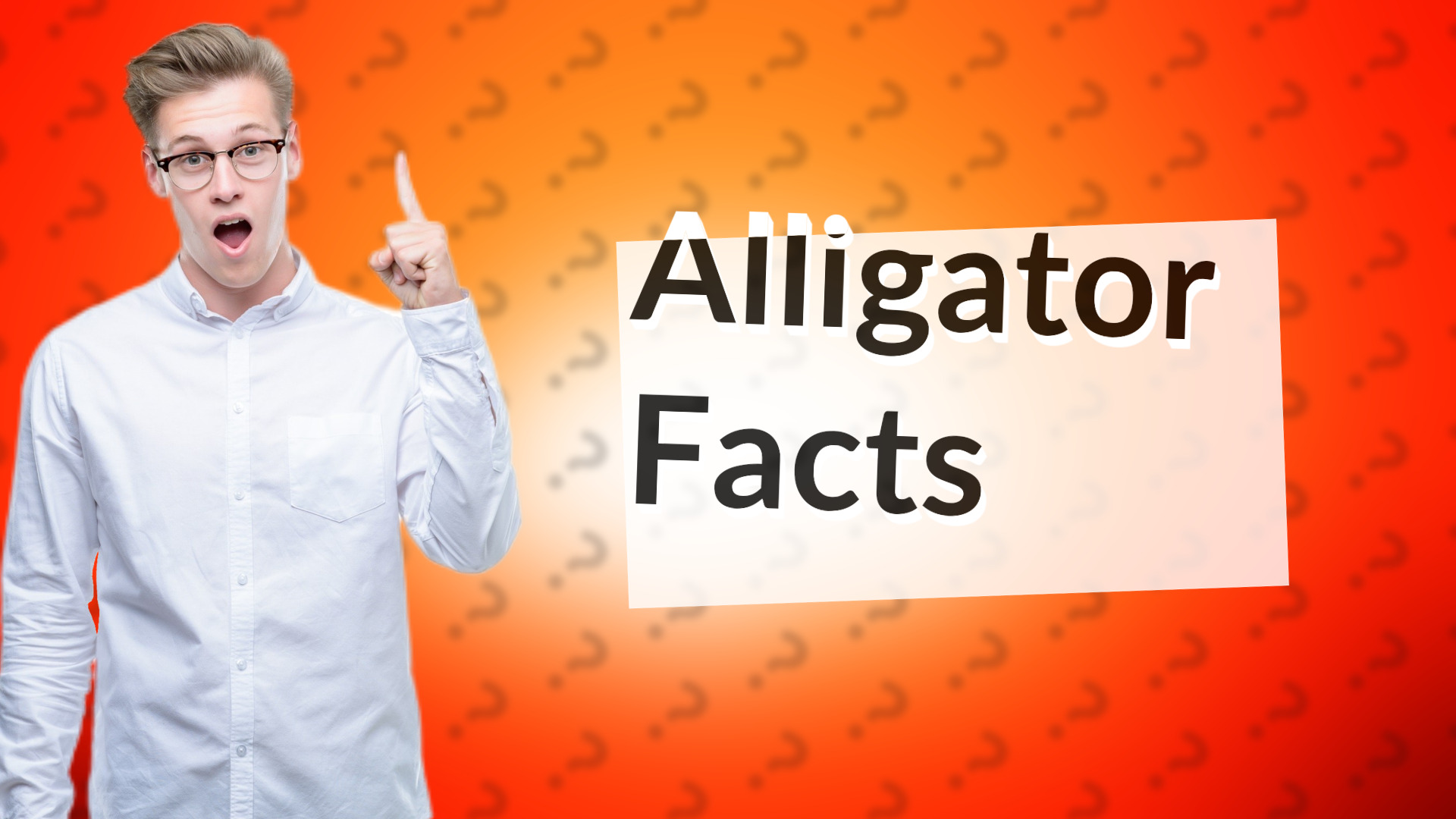 Alligator Facts