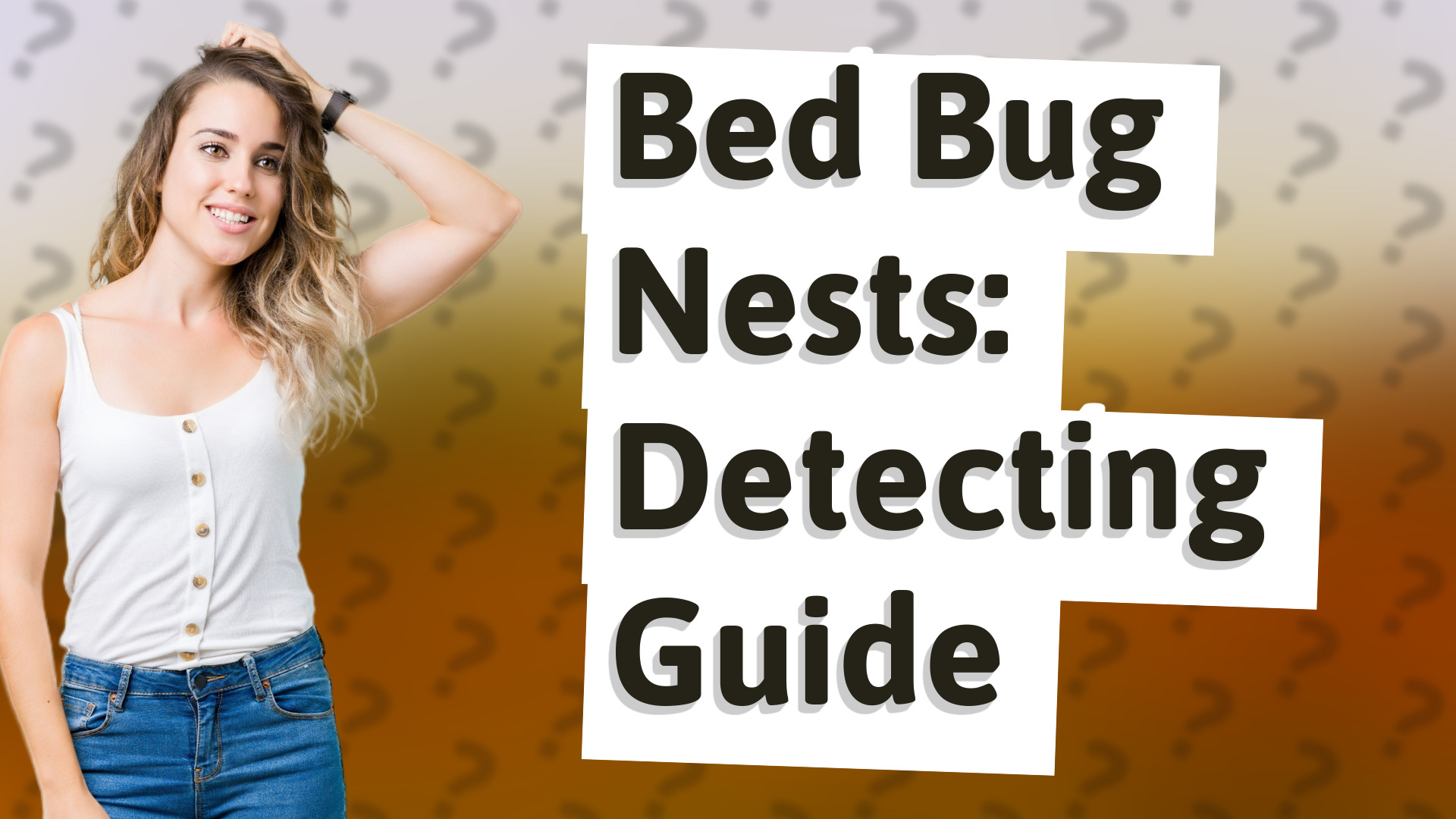 Bed Bug Nests: Detecting Guide