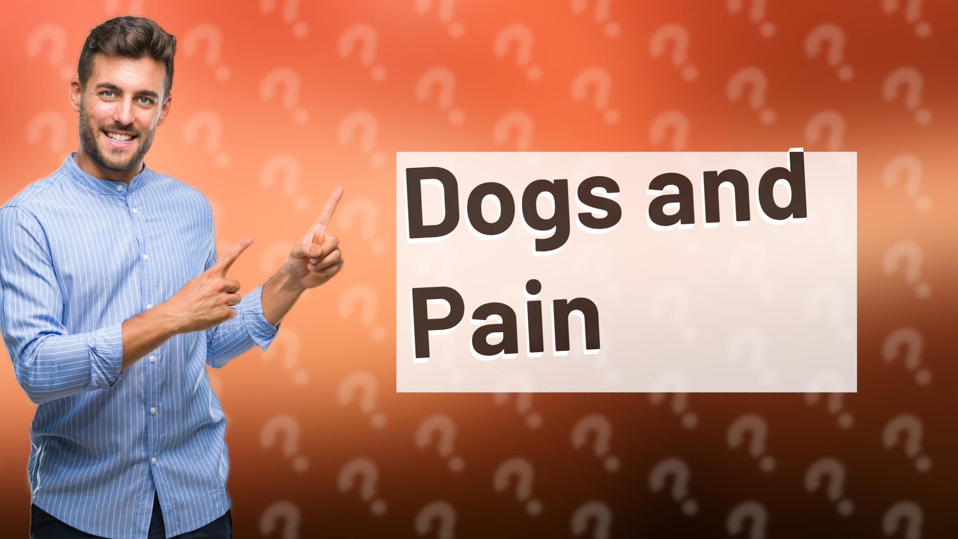 Dogs and Pain