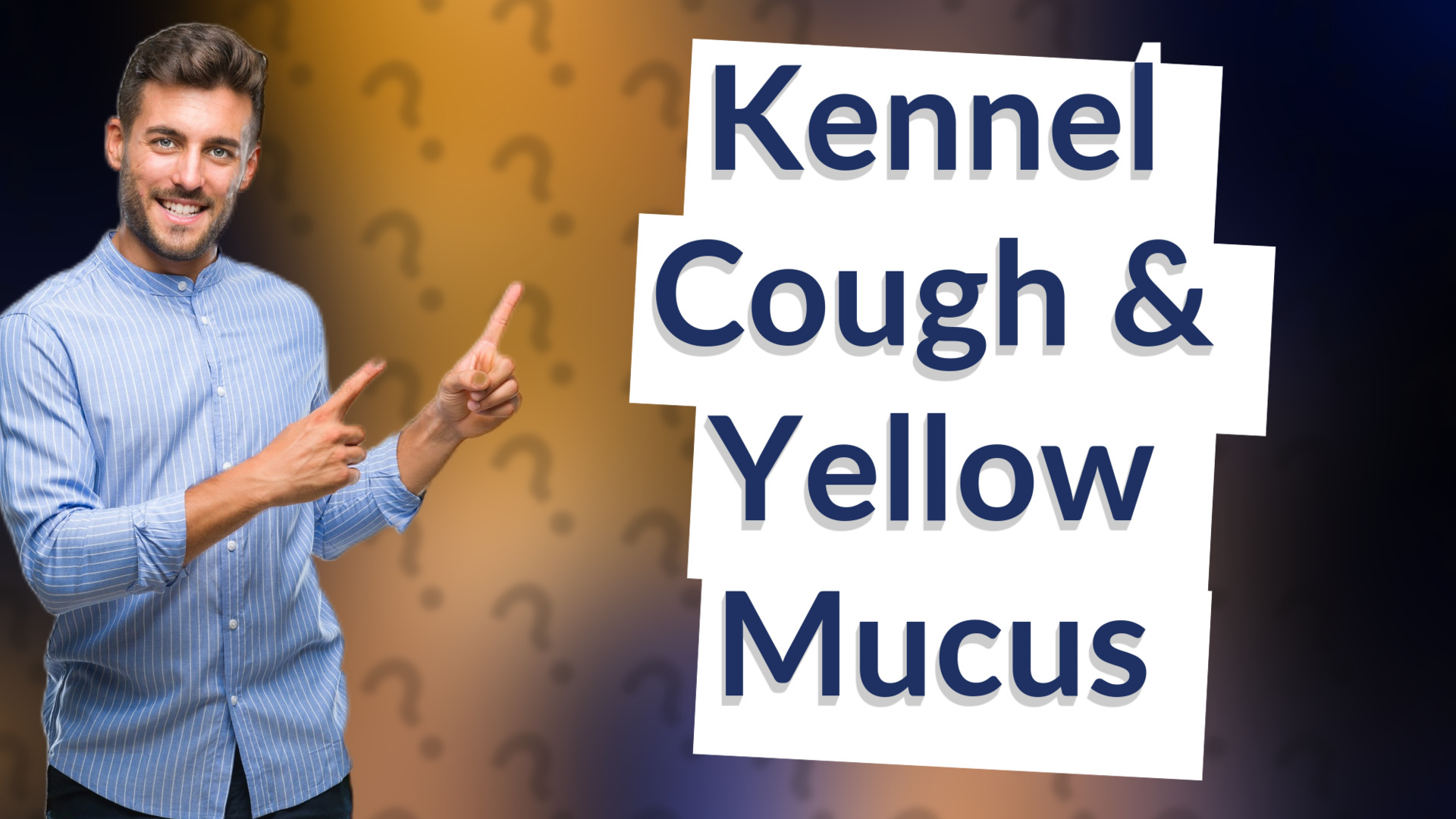 Kennel Cough & Yellow Mucus