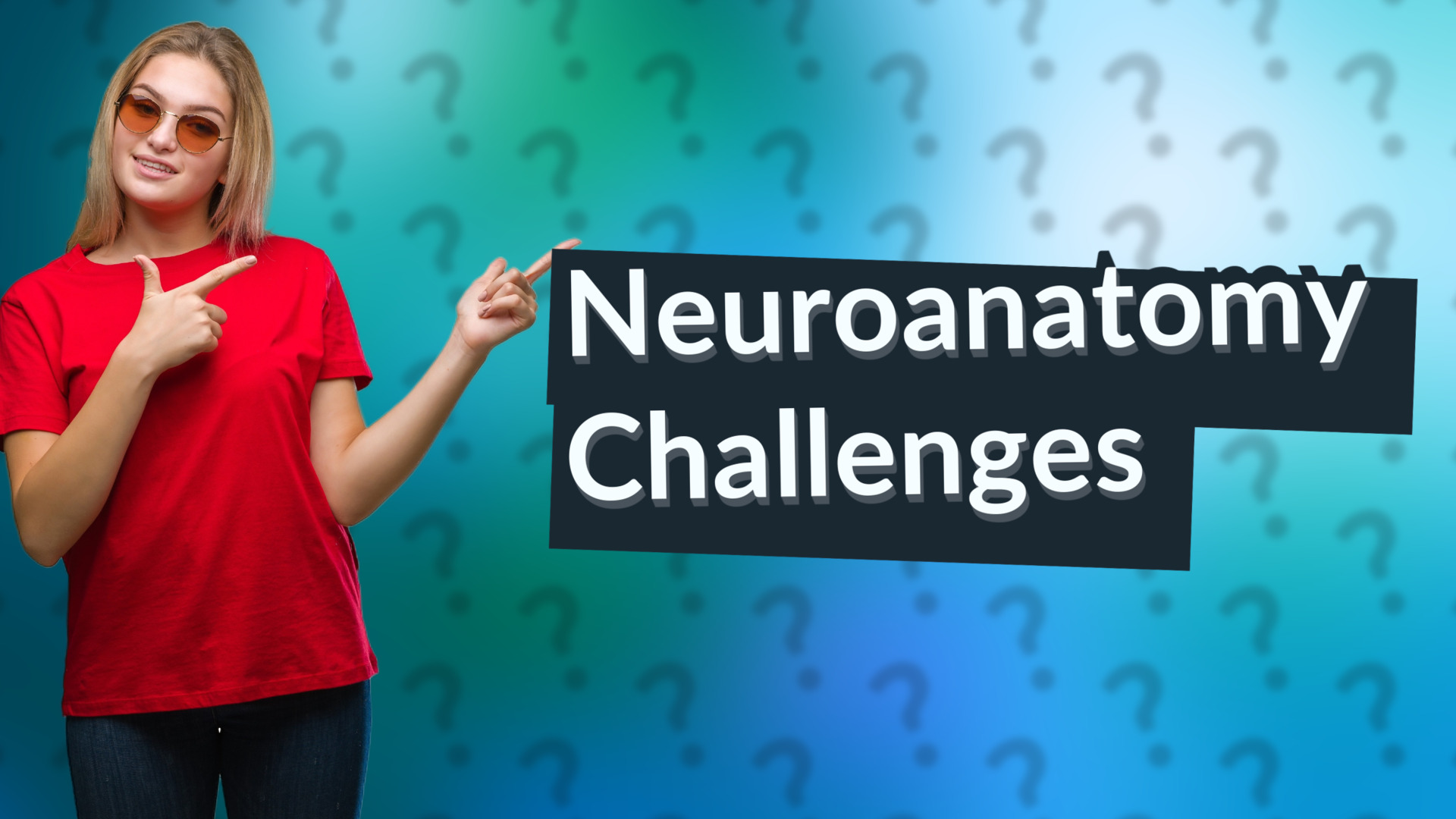 Neuroanatomy Challenges