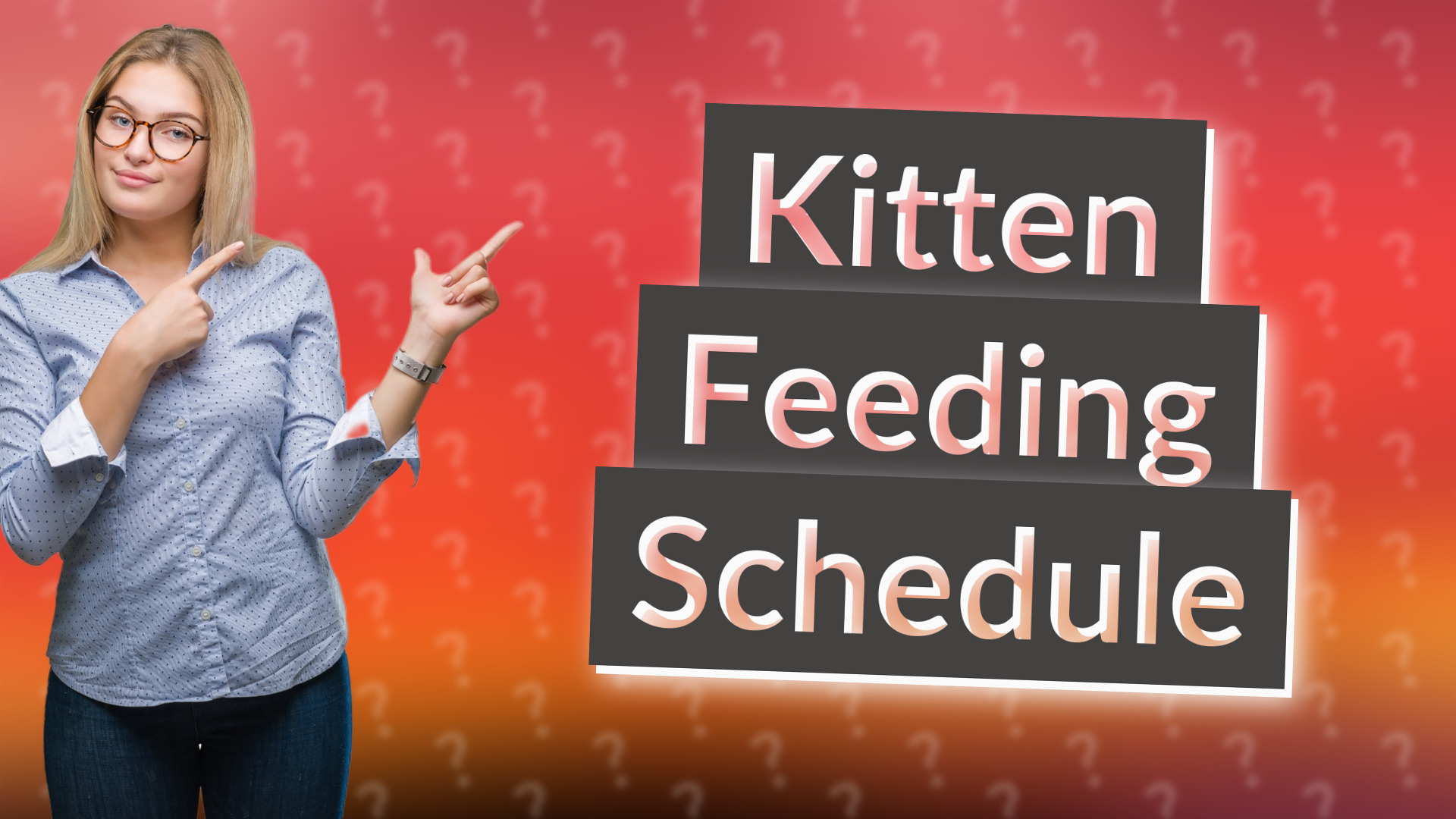 Kitten Feeding Schedule