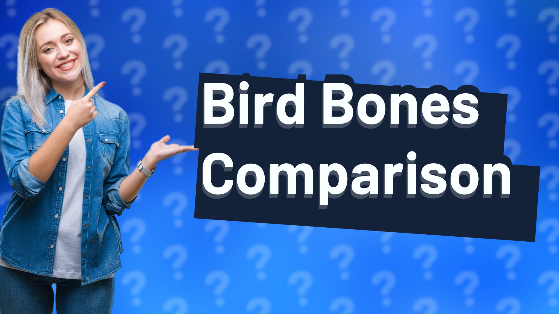Bird Bones Comparison