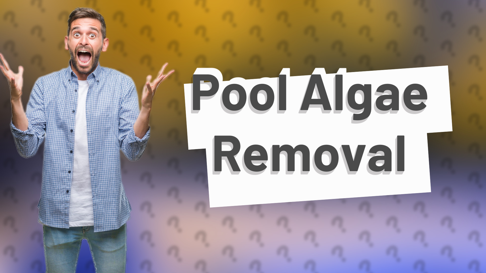 Pool Algae Removal