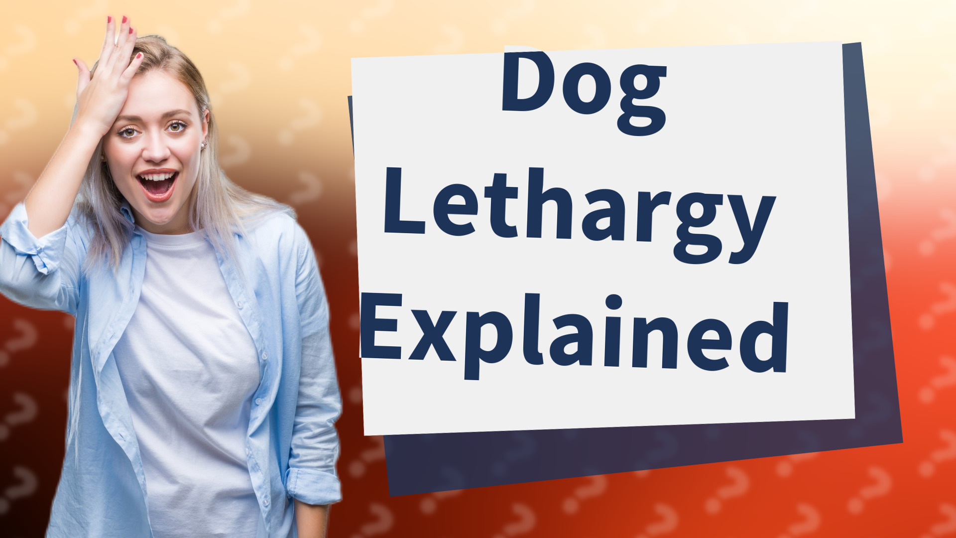 Dog Lethargy Explained