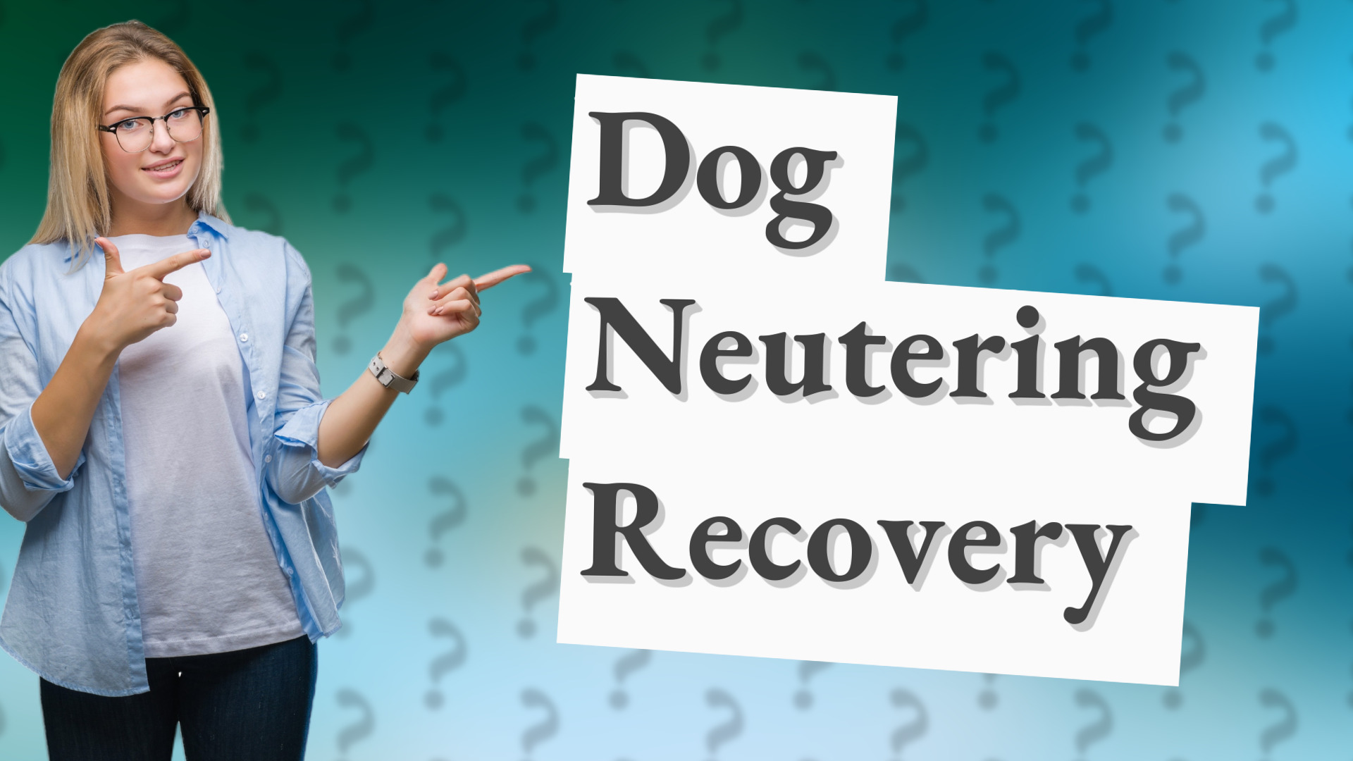 Dog Neutering Recovery
