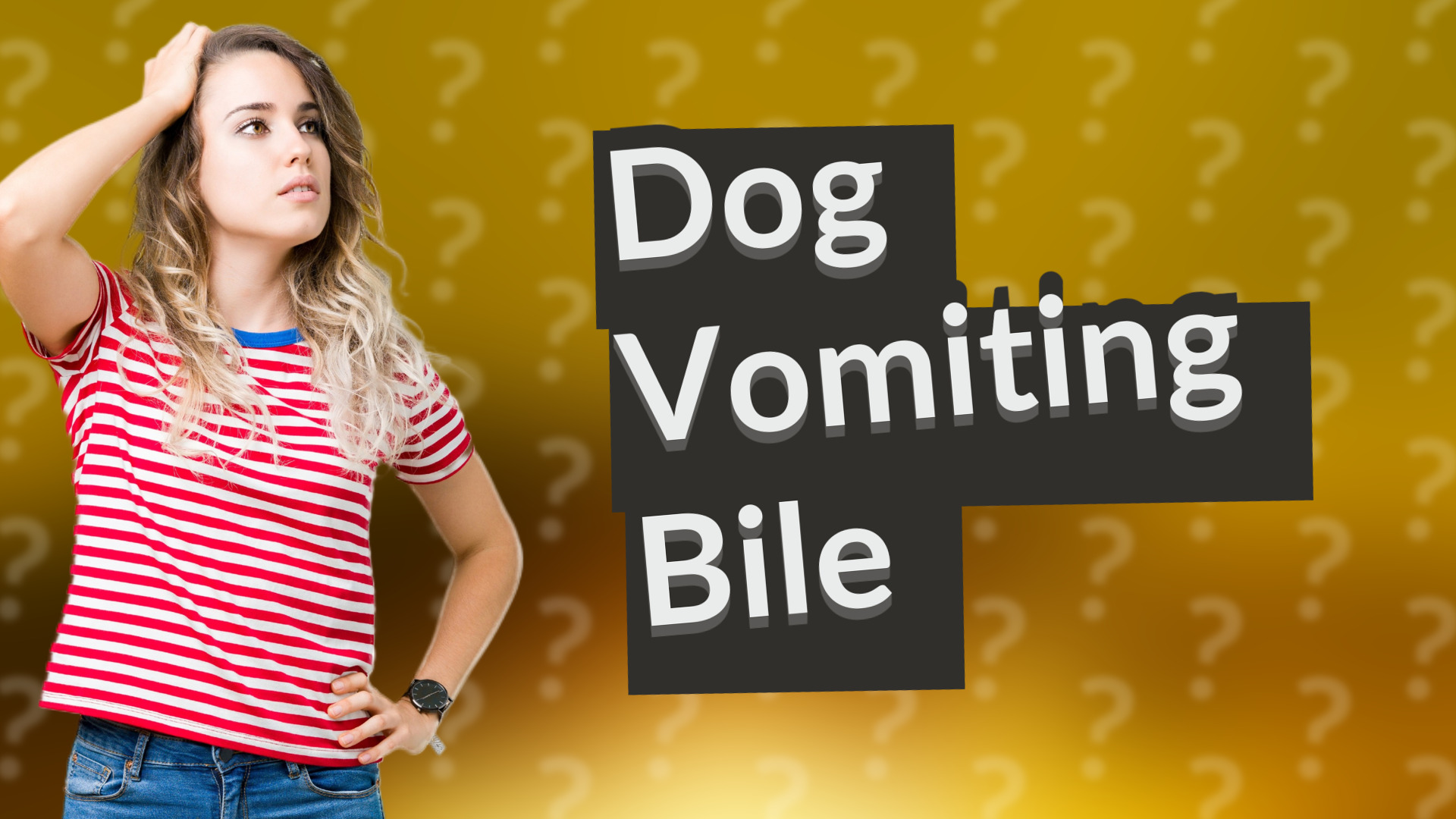 Dog Vomiting Bile