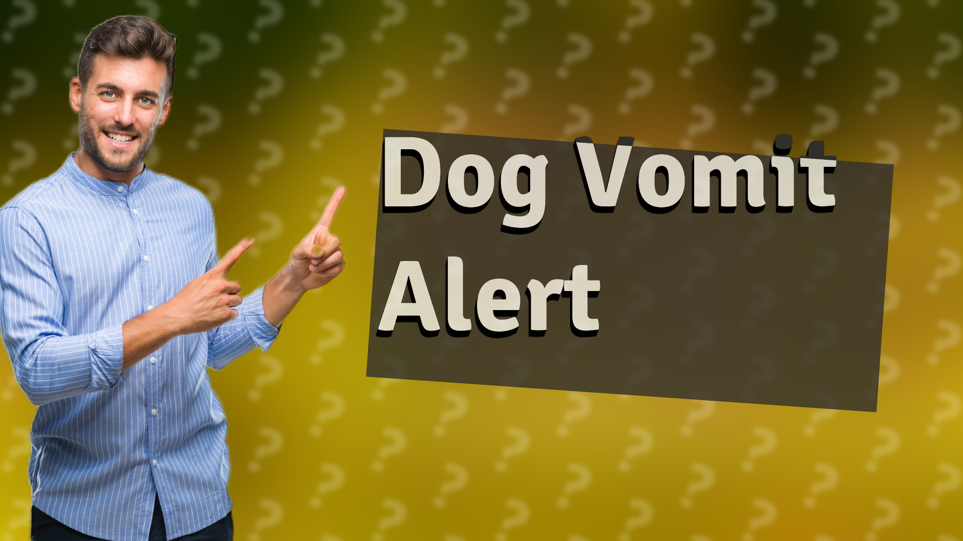 Dog Vomit Alert