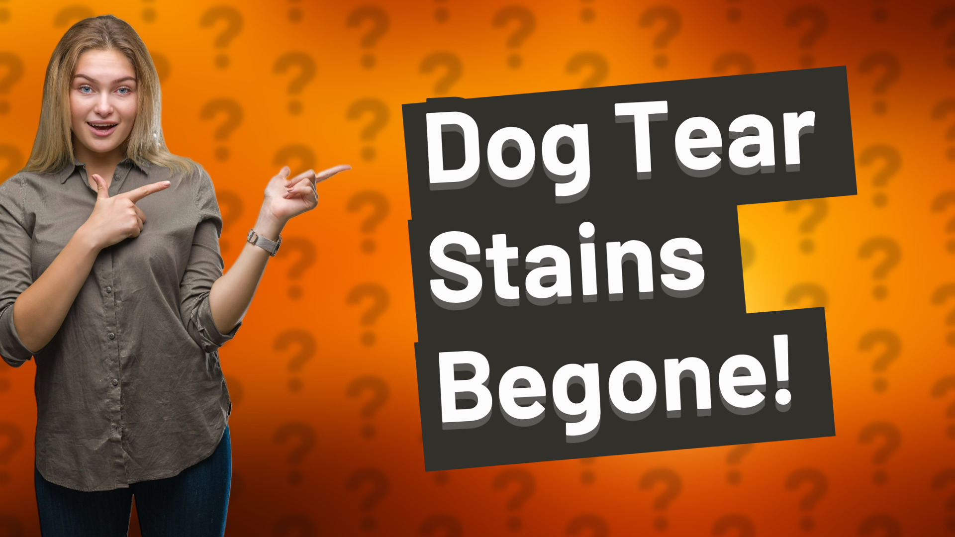 Dog Tear Stains Begone!