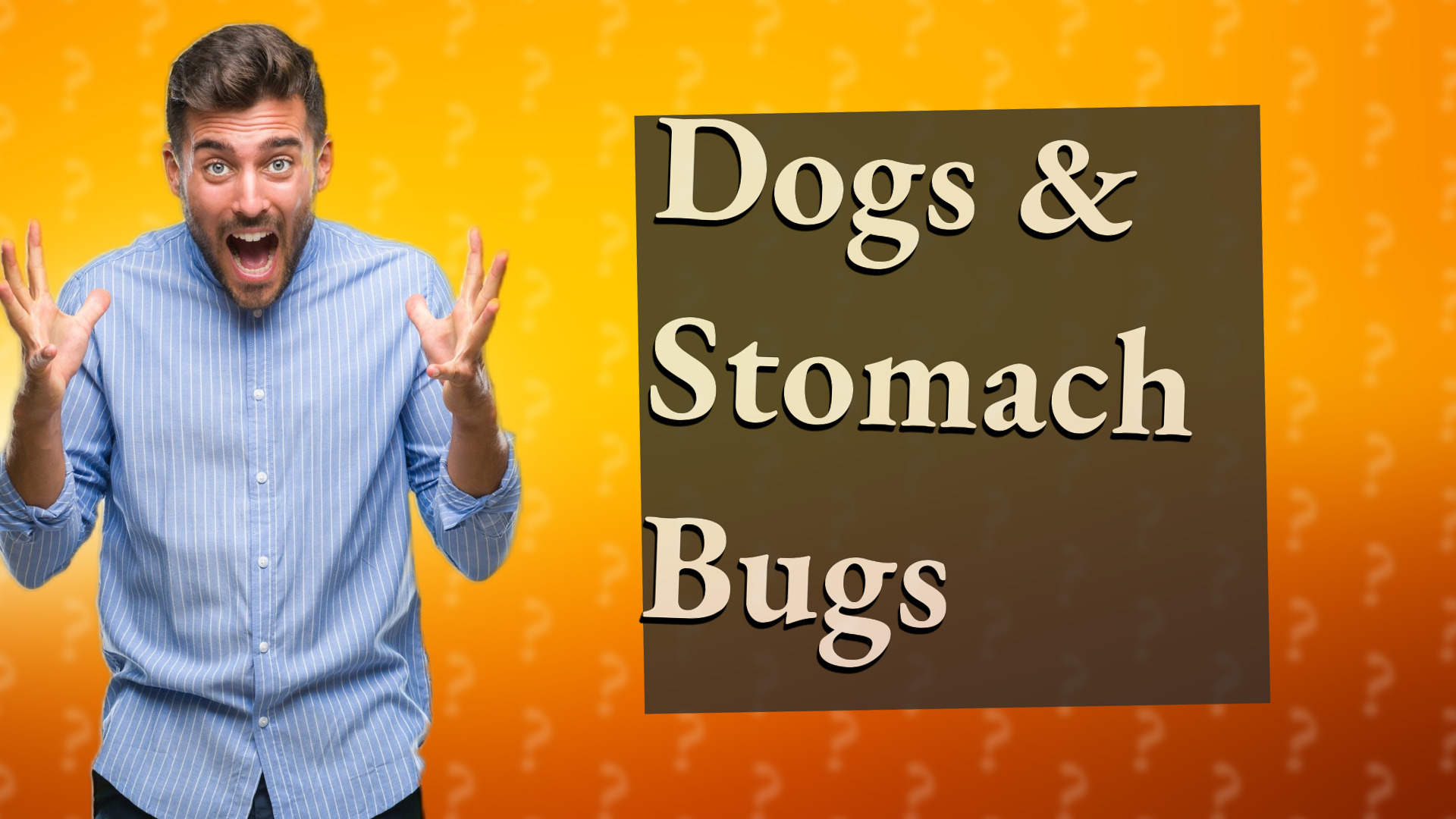 Dogs & Stomach Bugs