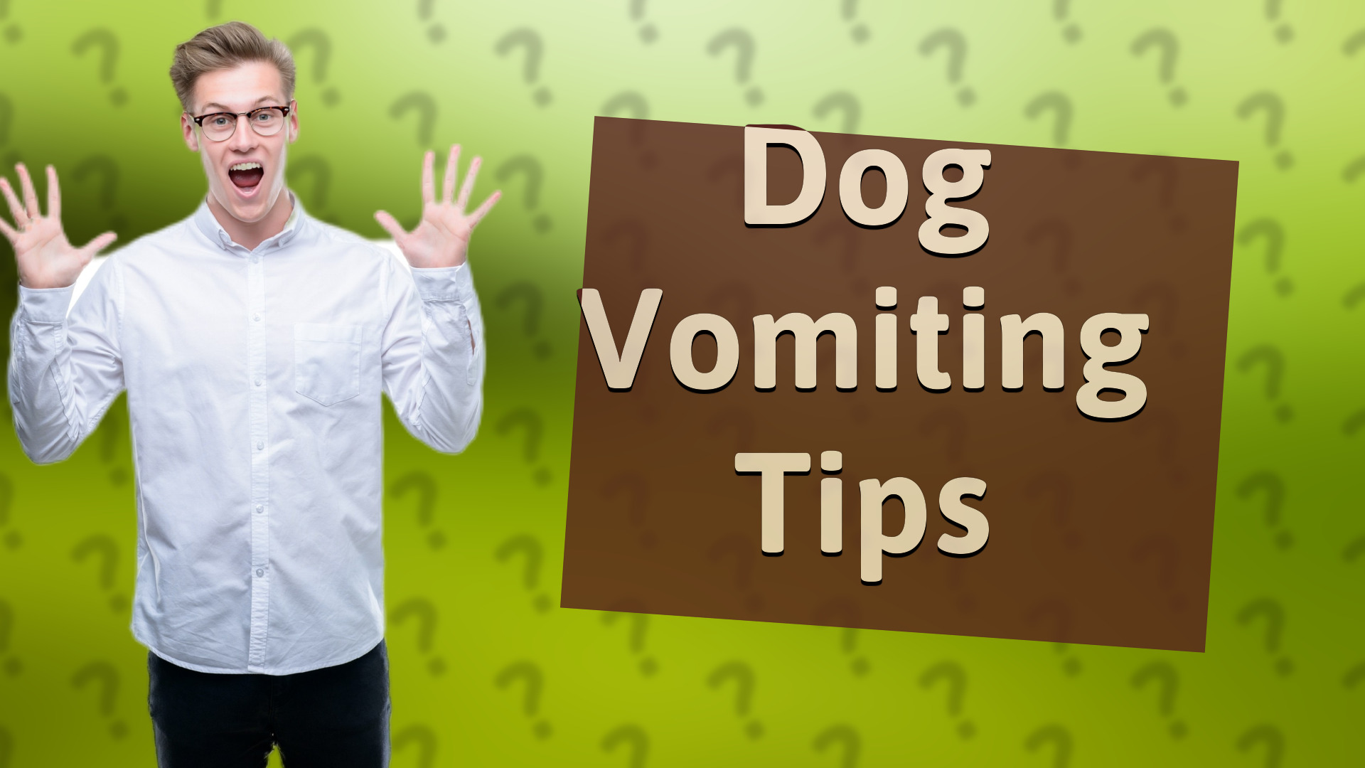 Dog Vomiting Tips
